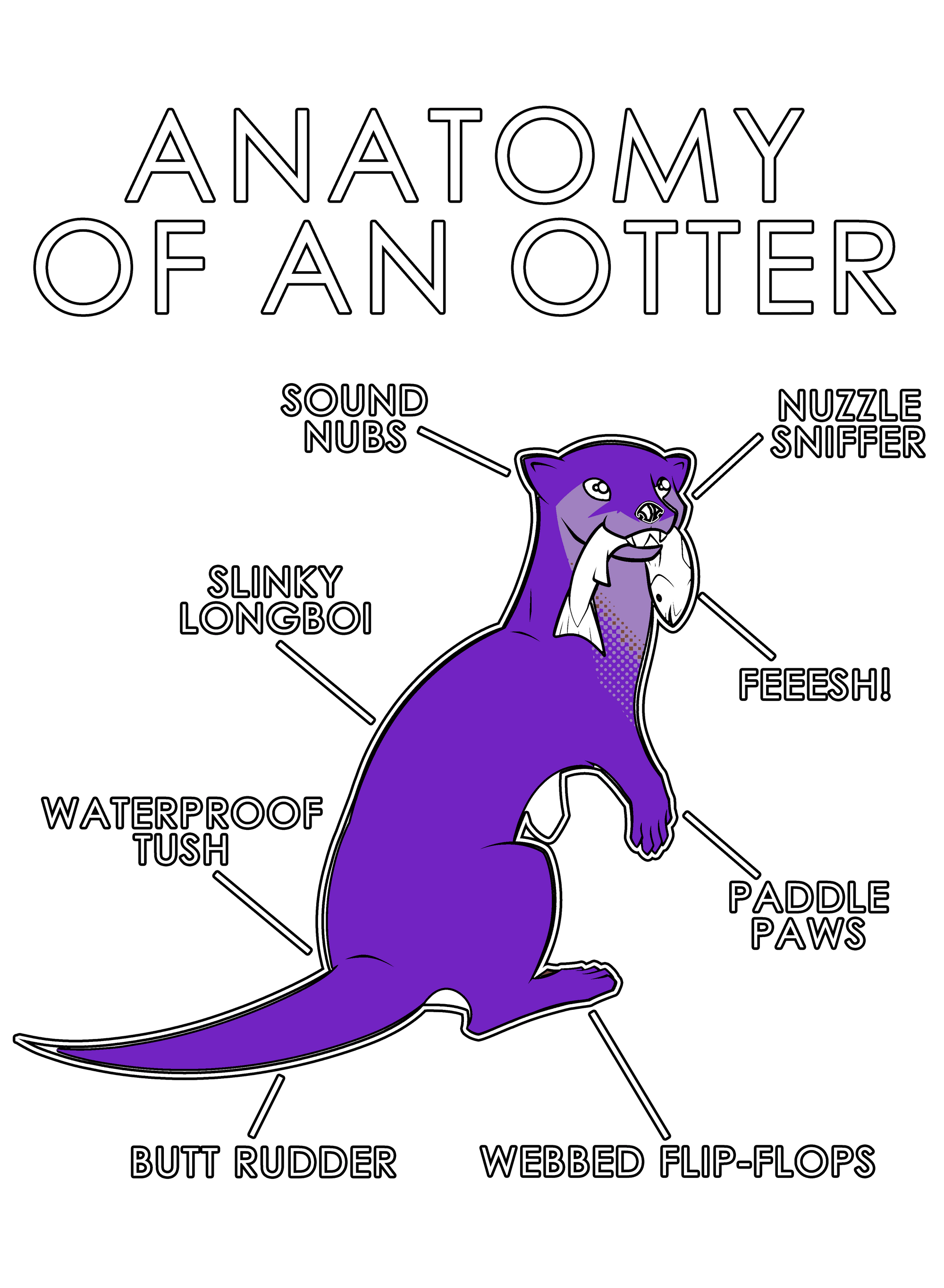 Anatomy Series - Gen 1 - Anatomy of an Otter - Purple