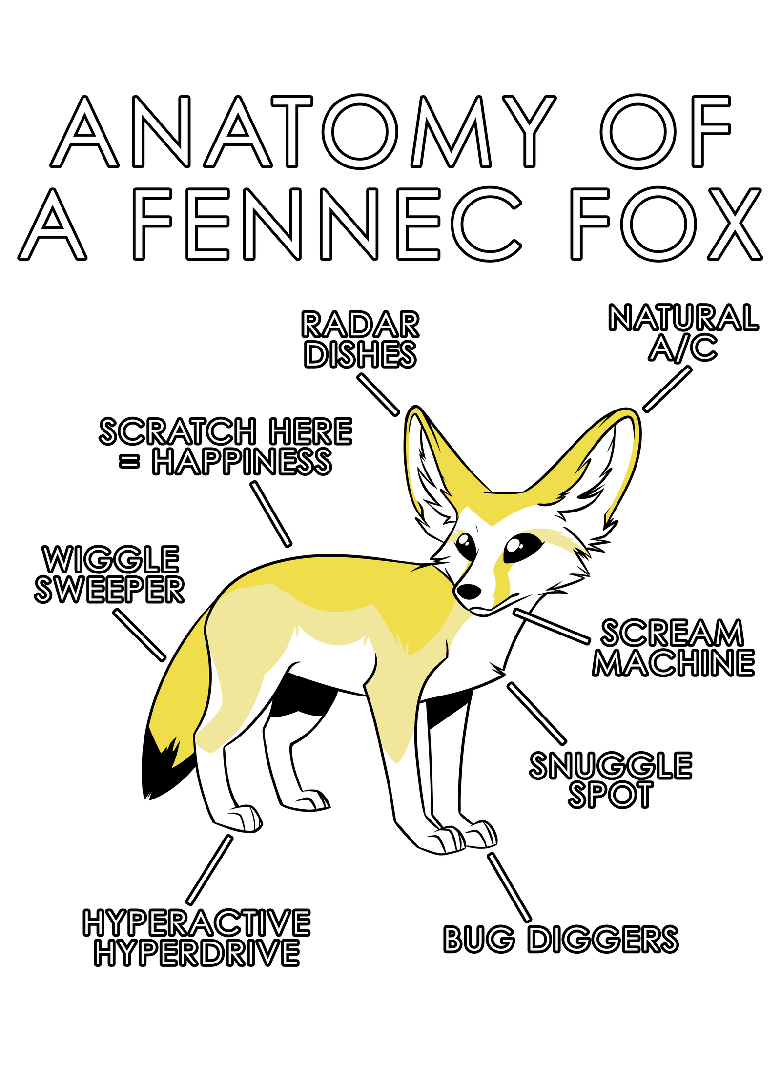 Anatomy Series - Gen 1 - Anatomy of a Fennec - Yellow