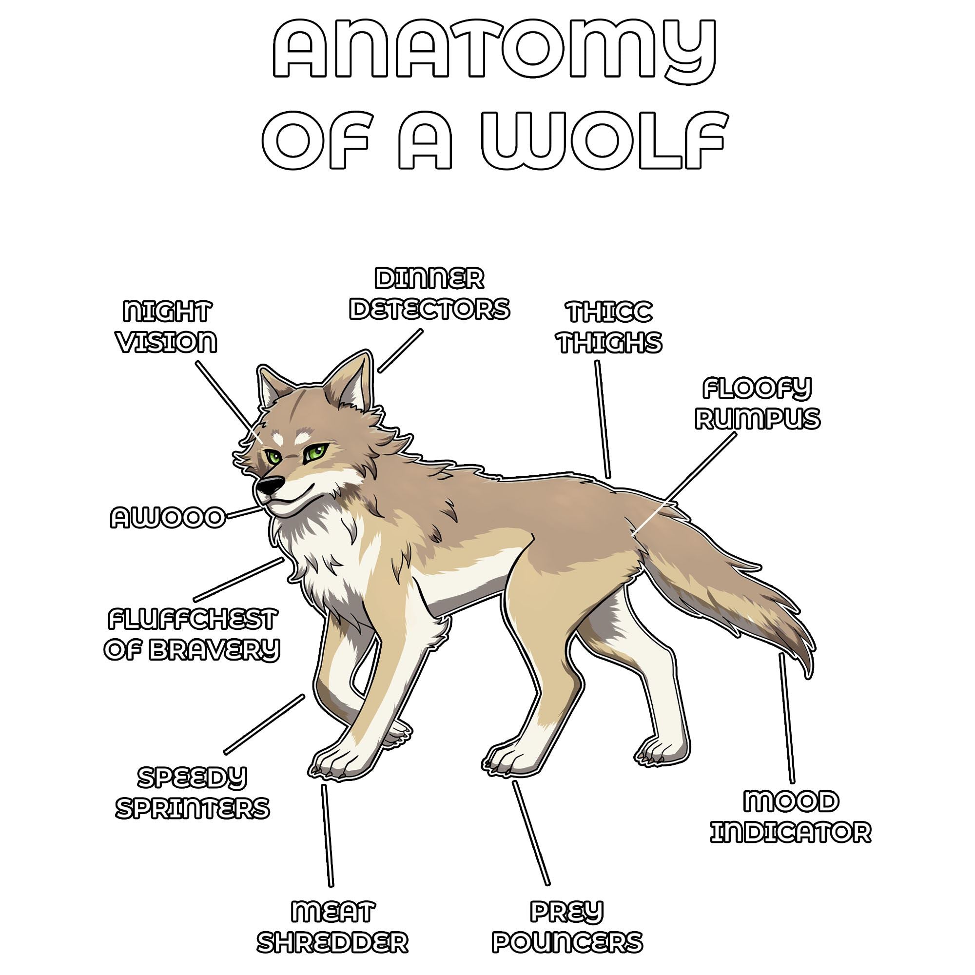 Anatomy Series - Gen 2 - Anatomy of a Wolf