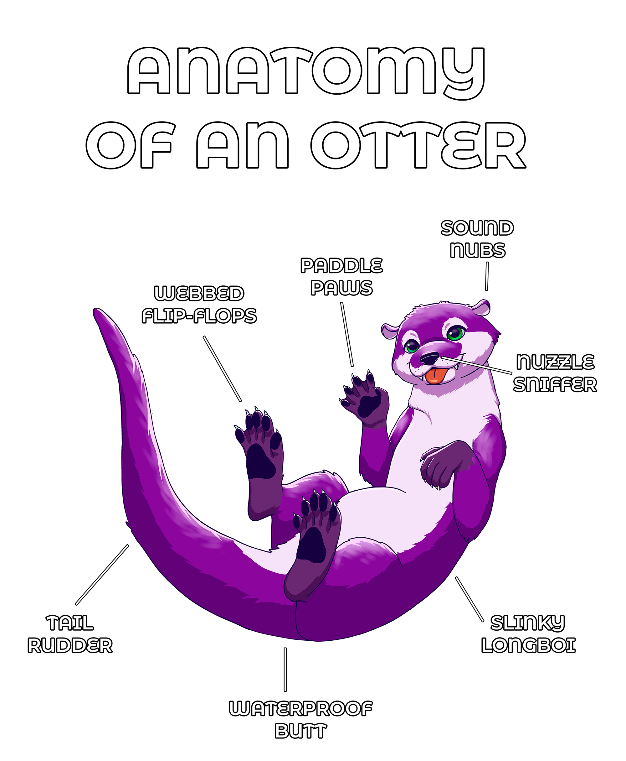 Anatomy Series - Gen 2 - Anatomy of an Otter - Purple