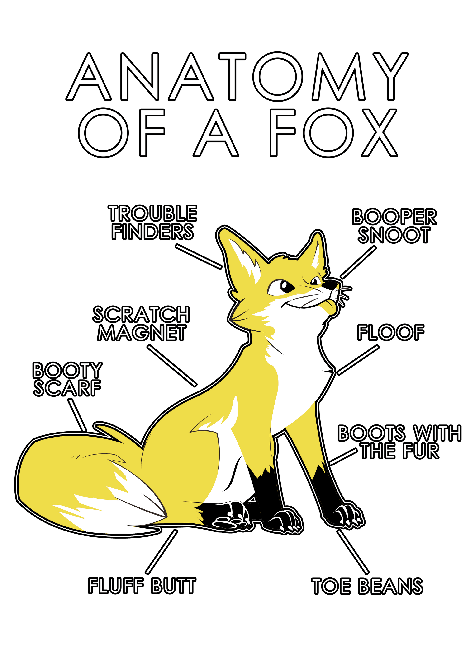 Anatomy Series - Gen 1 - Anatomy of a Fox - Yellow