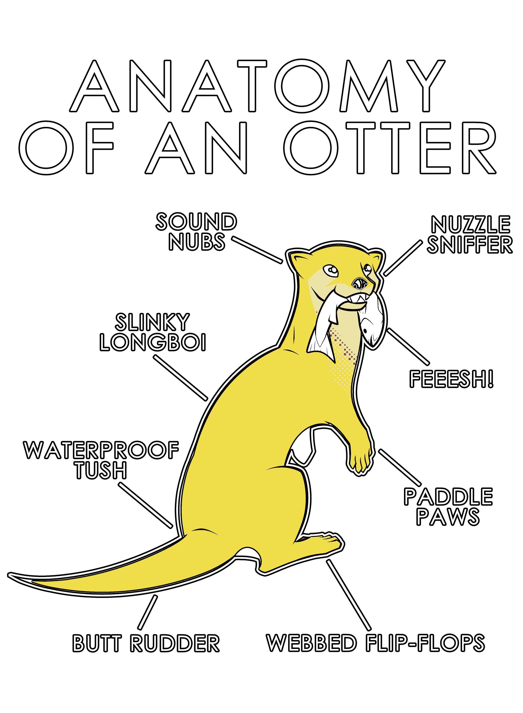 Anatomy Series - Gen 1 - Anatomy of an Otter - Yellow