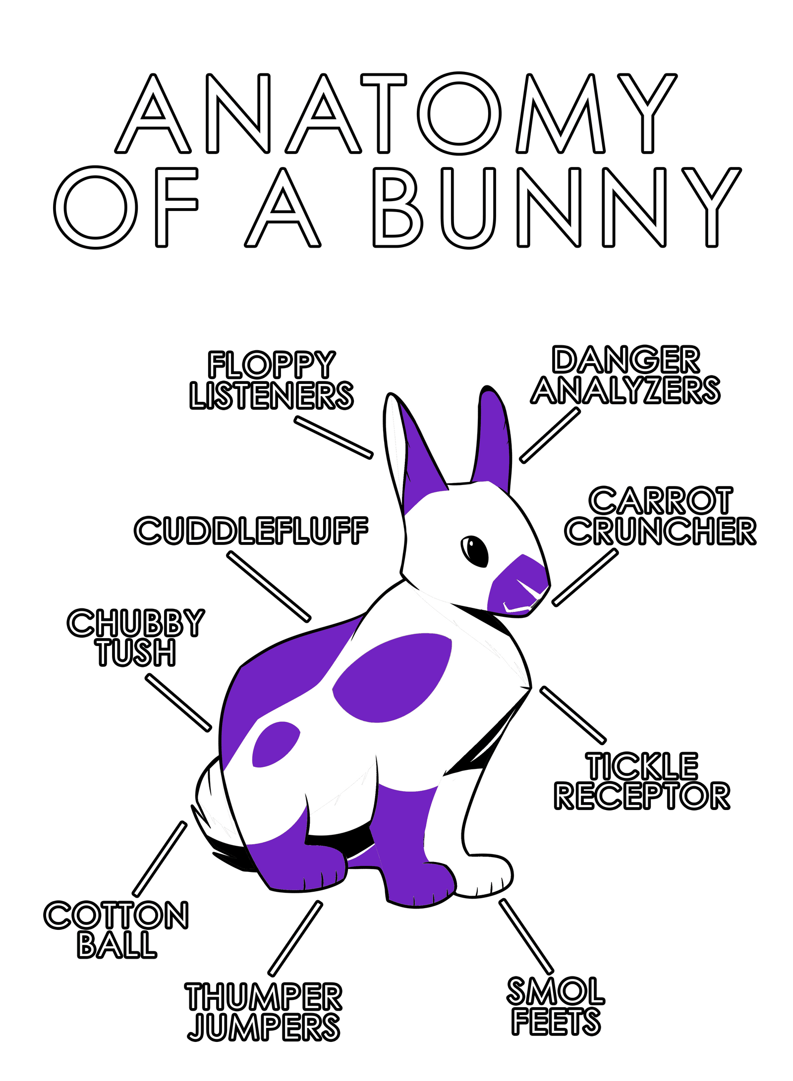 Anatomy Series - Gen 1 - Anatomy of a Bunny - Purple