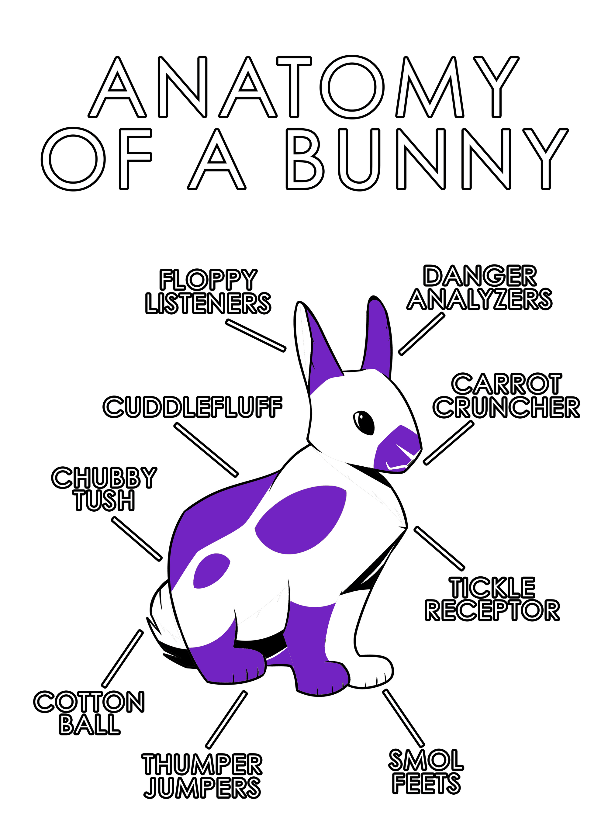 Anatomy Series - Gen 1 - Anatomy of a Bunny - Purple