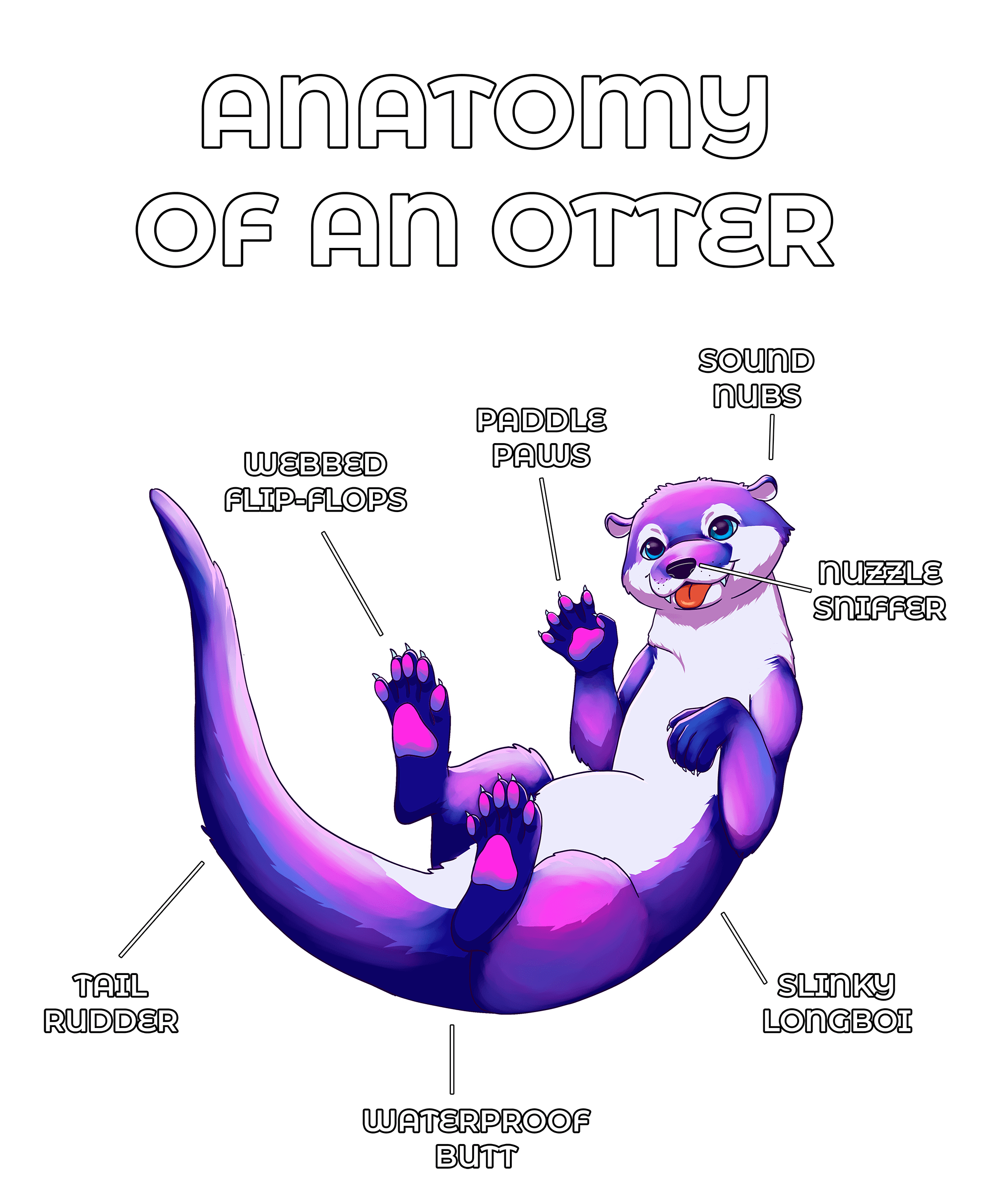 Anatomy Series - Gen 2 - Anatomy of an Otter - Ultraviolet