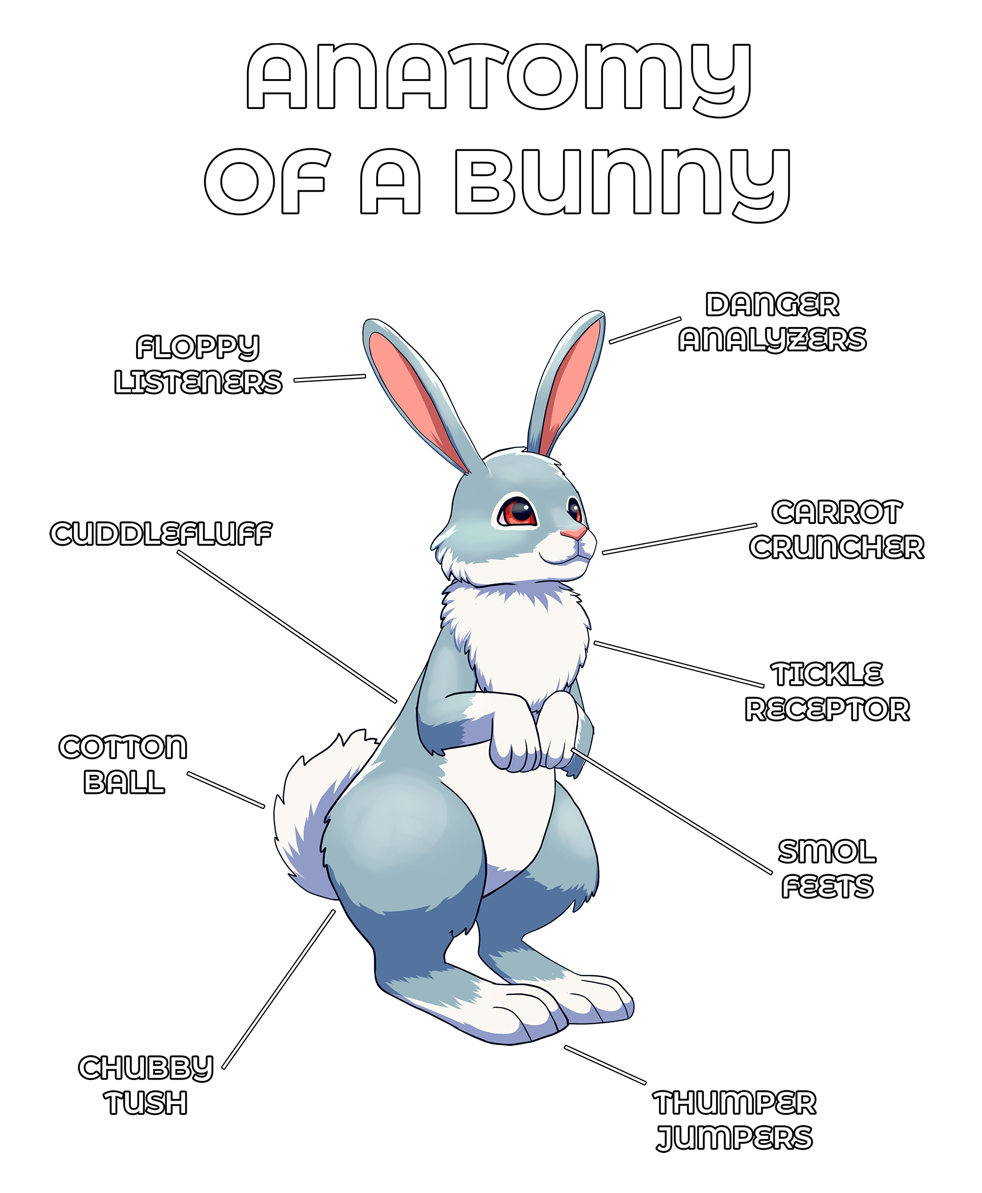 Anatomy Series - Gen 2 - Anatomy of a Bunny - Silver