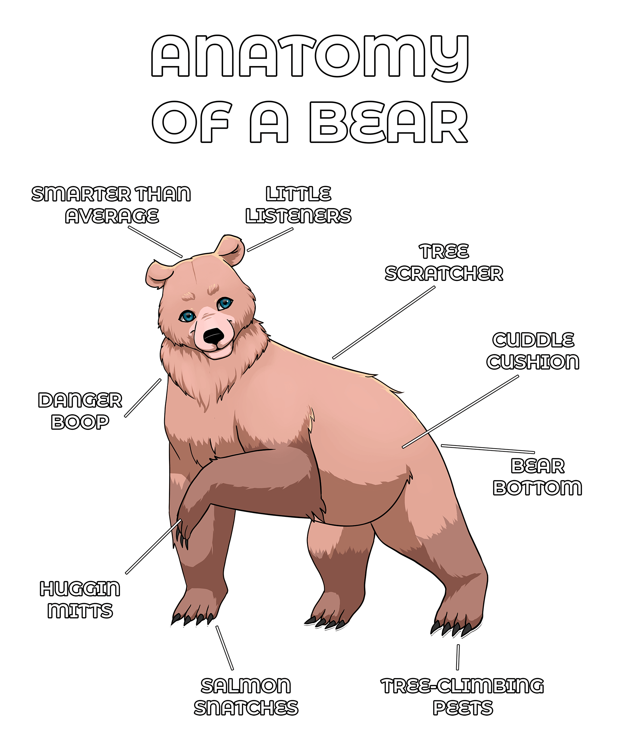 Anatomy Series - Gen 2 - Anatomy of a Bear - Sand