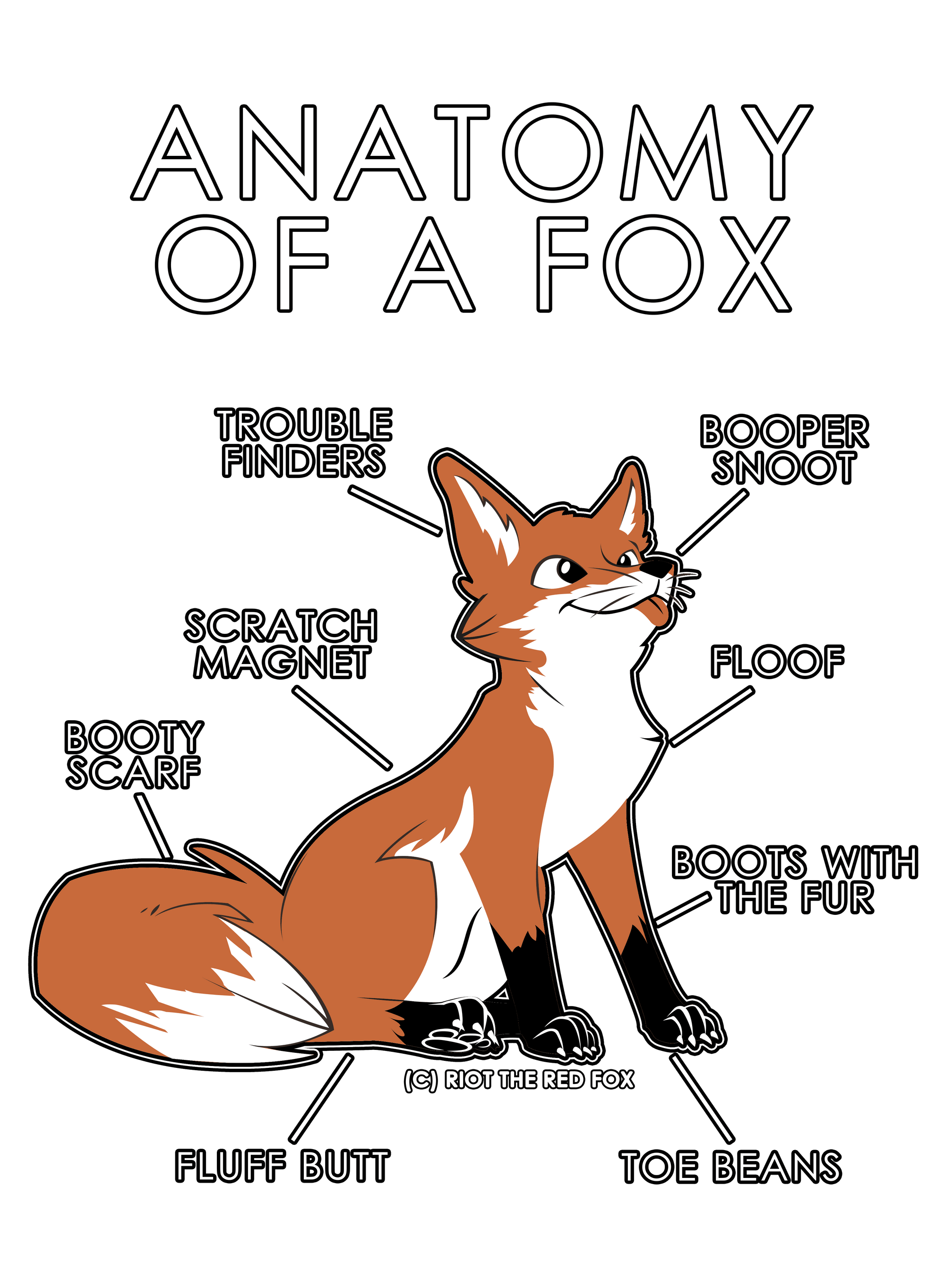 Anatomy Series - Gen 1 - Anatomy of a Fox - Orange