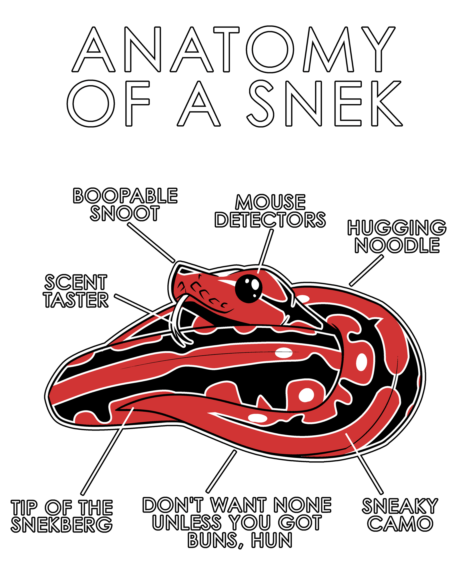 Anatomy Series - Gen 1 - Anatomy of a Snek - Red