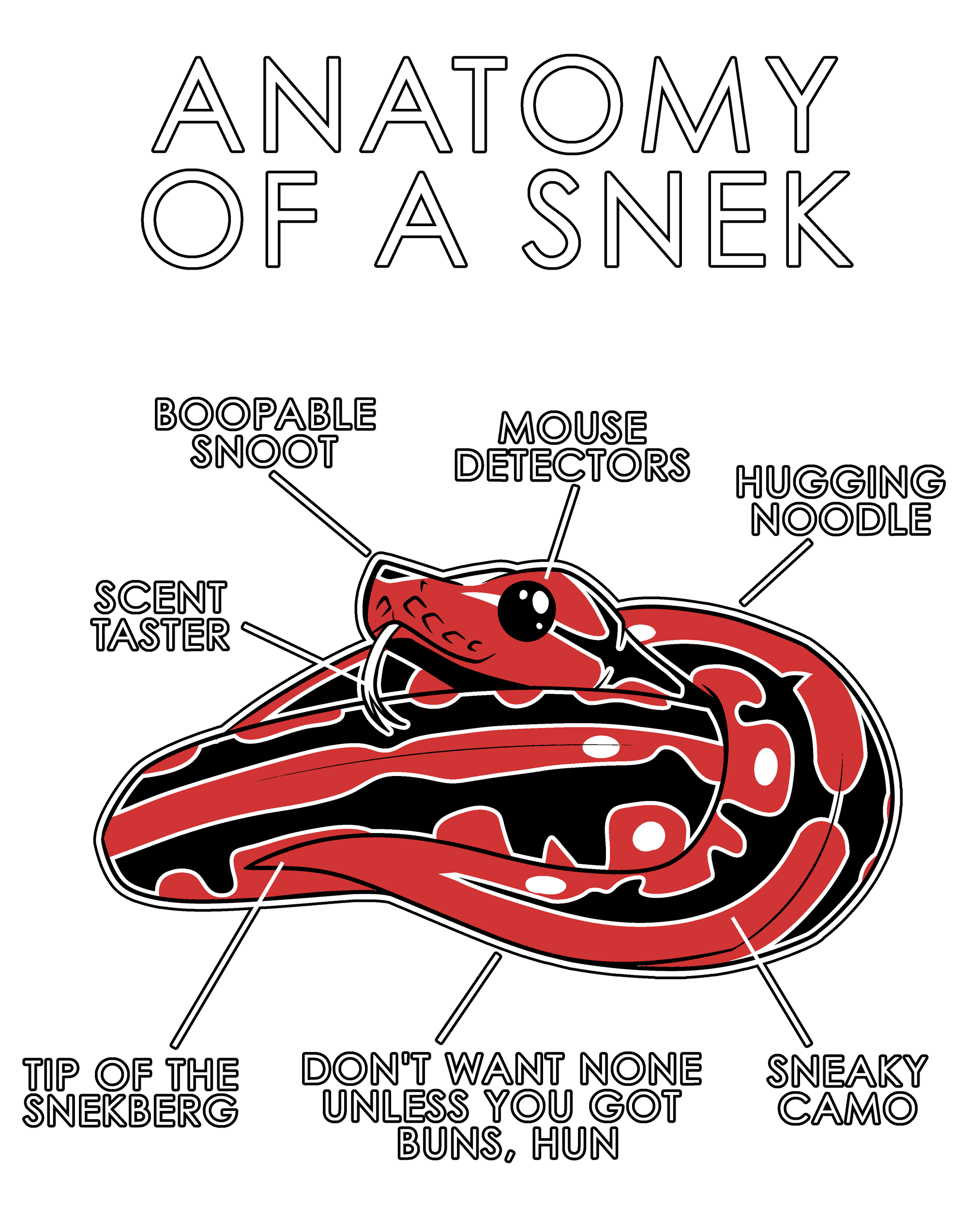 Anatomy Series - Gen 1 - Anatomy of a Snek - Red
