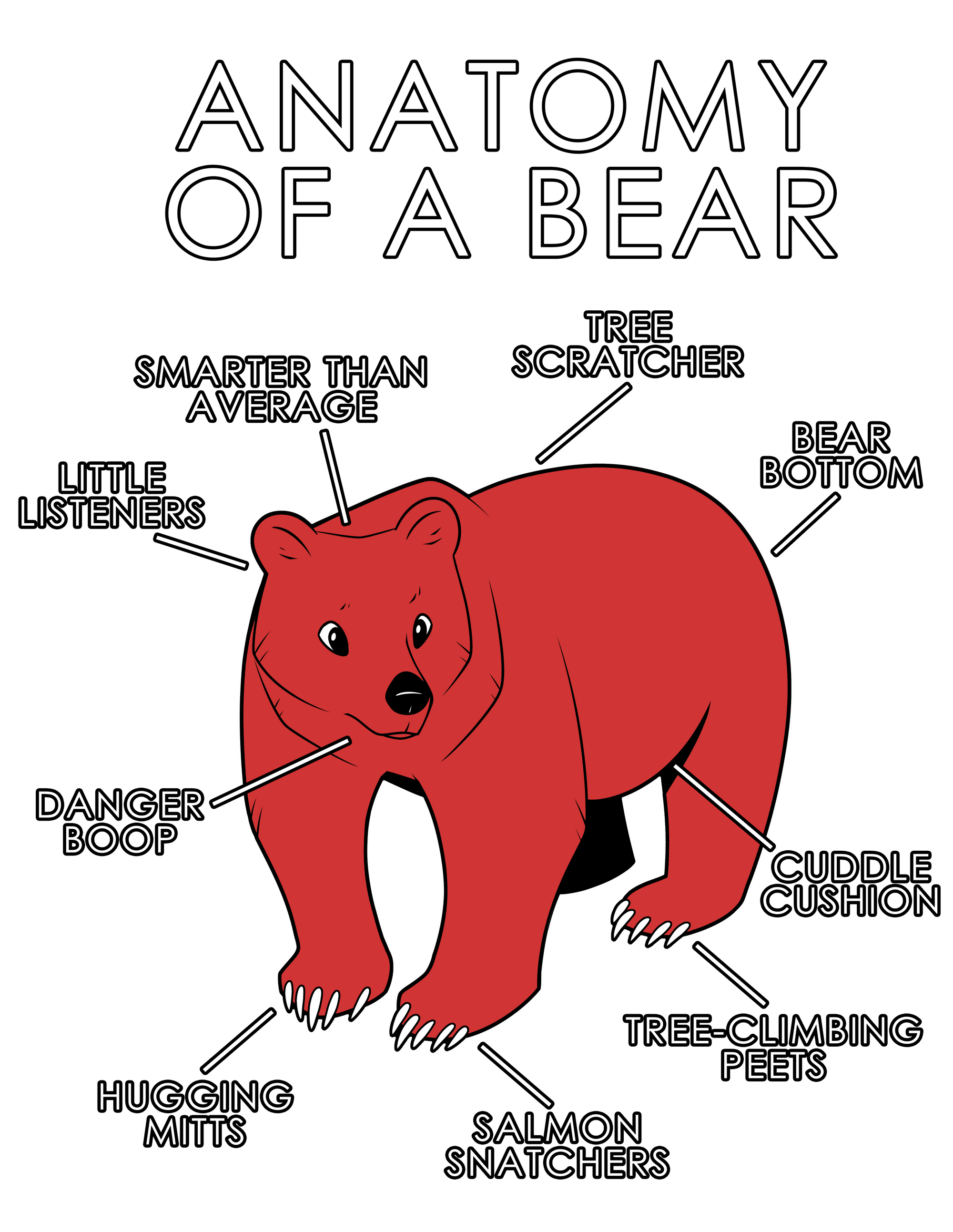 Anatomy Series - Gen 1 - Anatomy of a Bear - Red