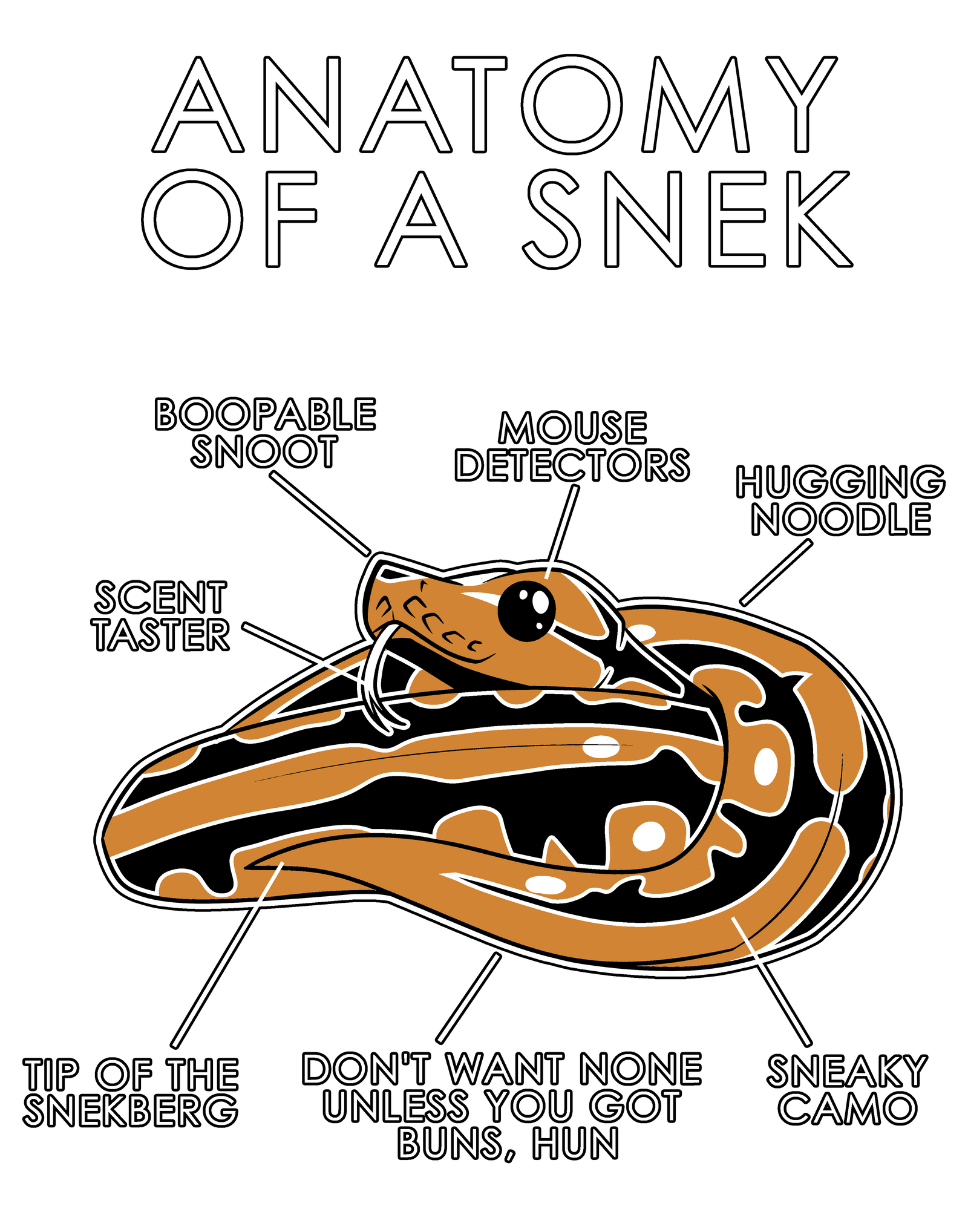 Anatomy Series - Gen 1 - Anatomy of a Snek - Orange