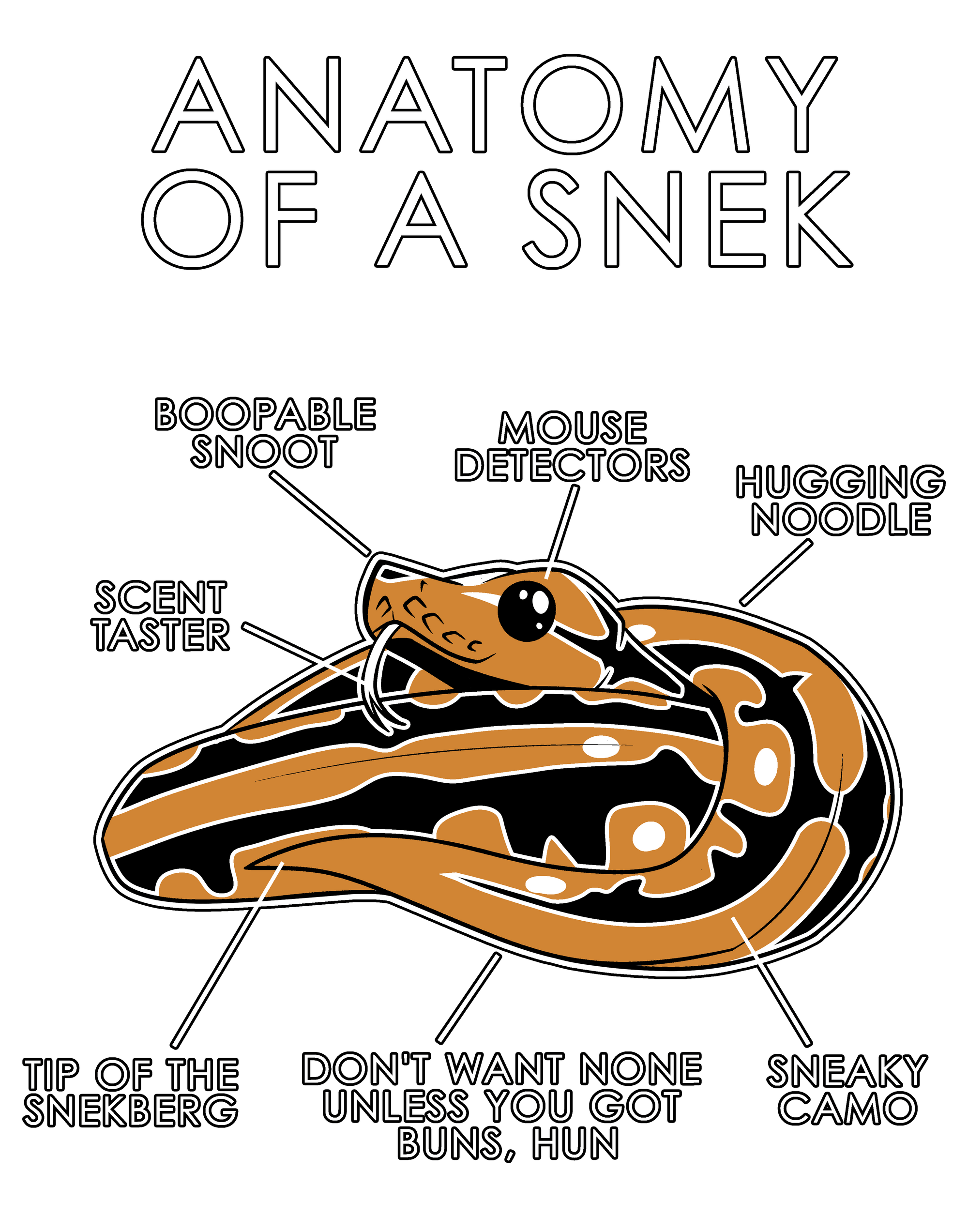 Anatomy Series - Gen 1 - Anatomy of a Snek - Orange