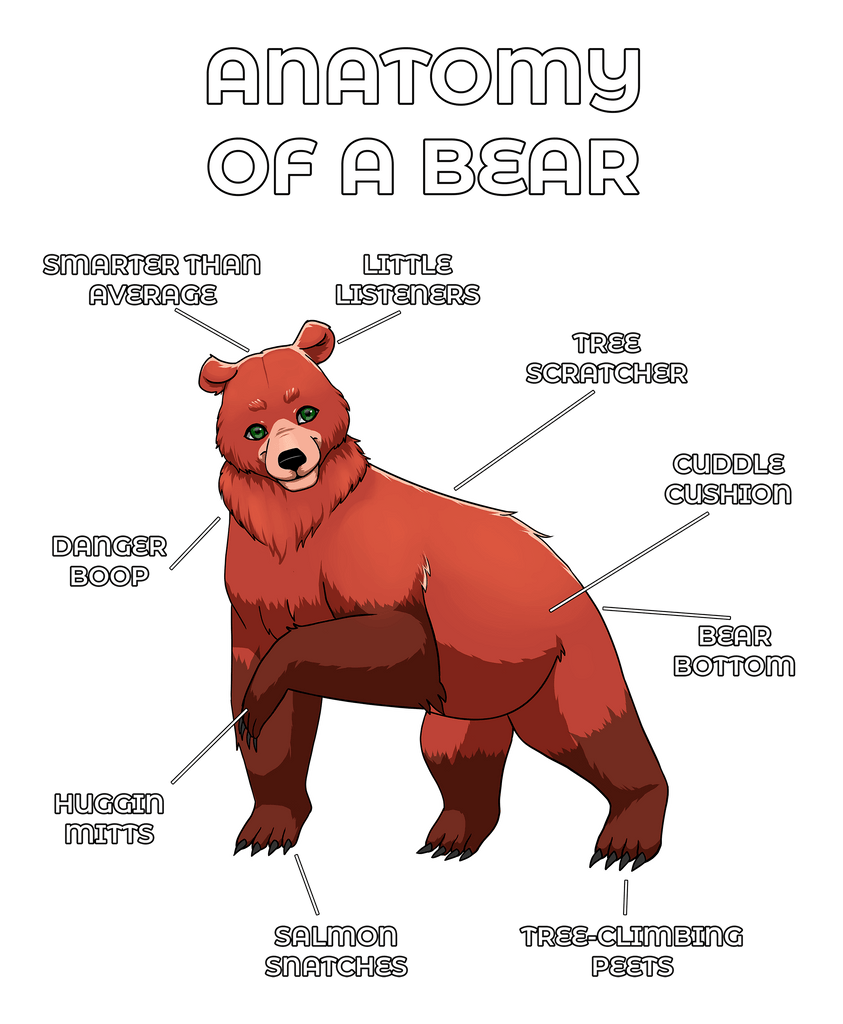Bear Red