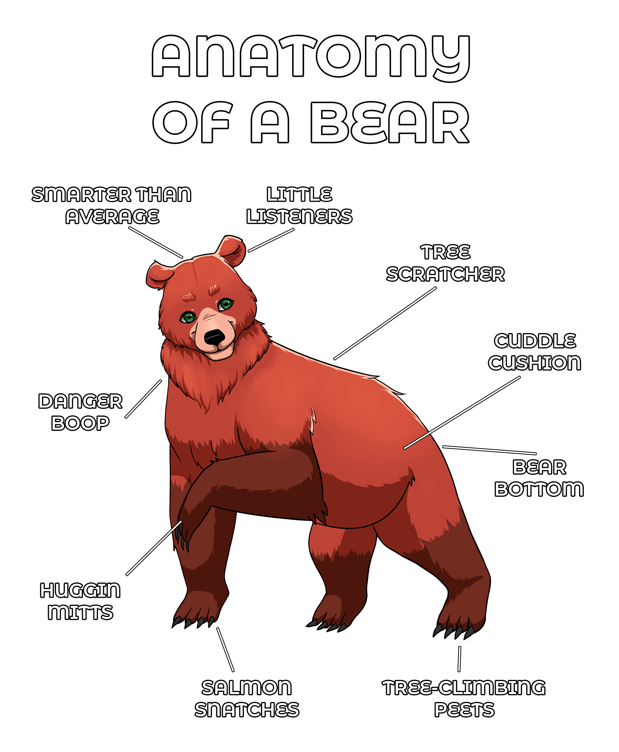 Anatomy Series - Gen 2 - Anatomy of a Bear - Red