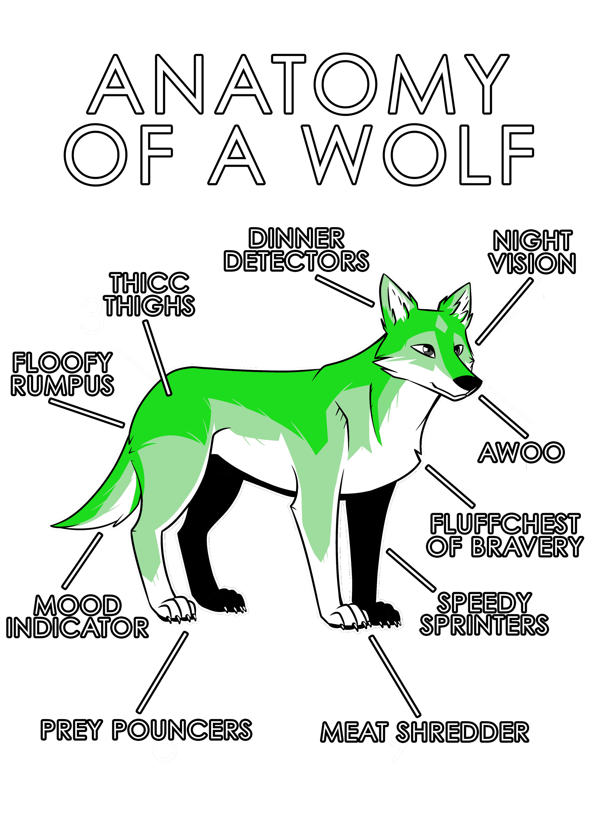 Anatomy Series - Gen 1 - Anatomy of a Wolf - Green