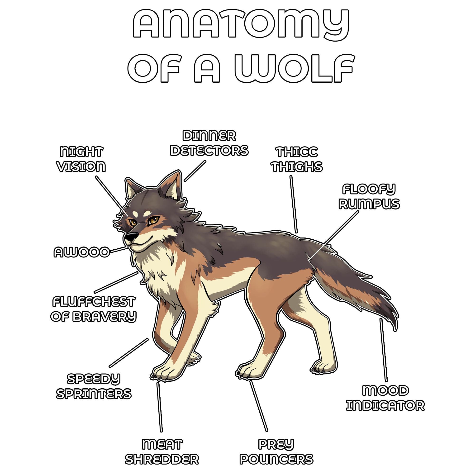 Anatomy Series - Gen 2 - Anatomy of a Wolf - Brown