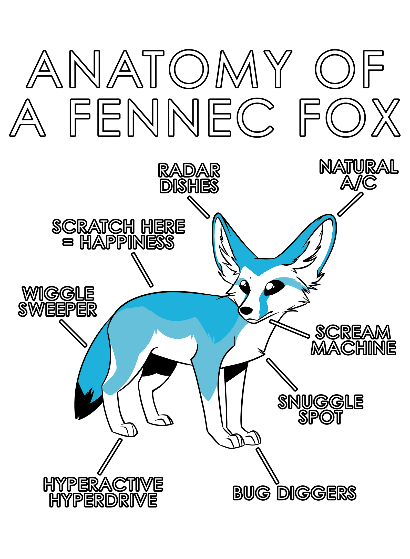 Anatomy Series - Gen 1 - Anatomy of a Fennec - Light Blue