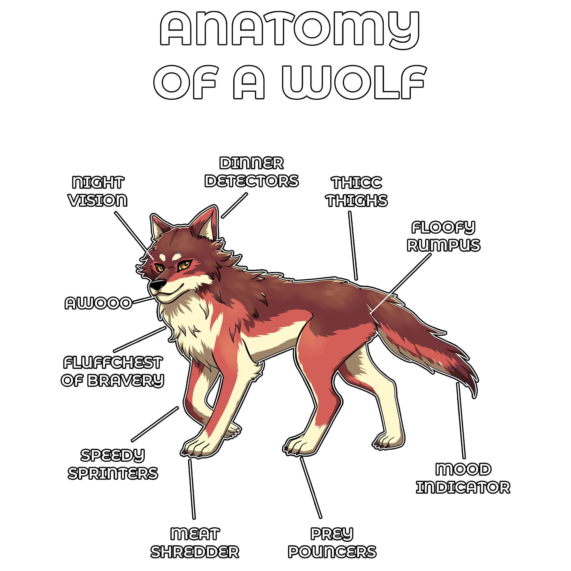 Anatomy Series - Gen 2 - Anatomy of a Wolf - Red