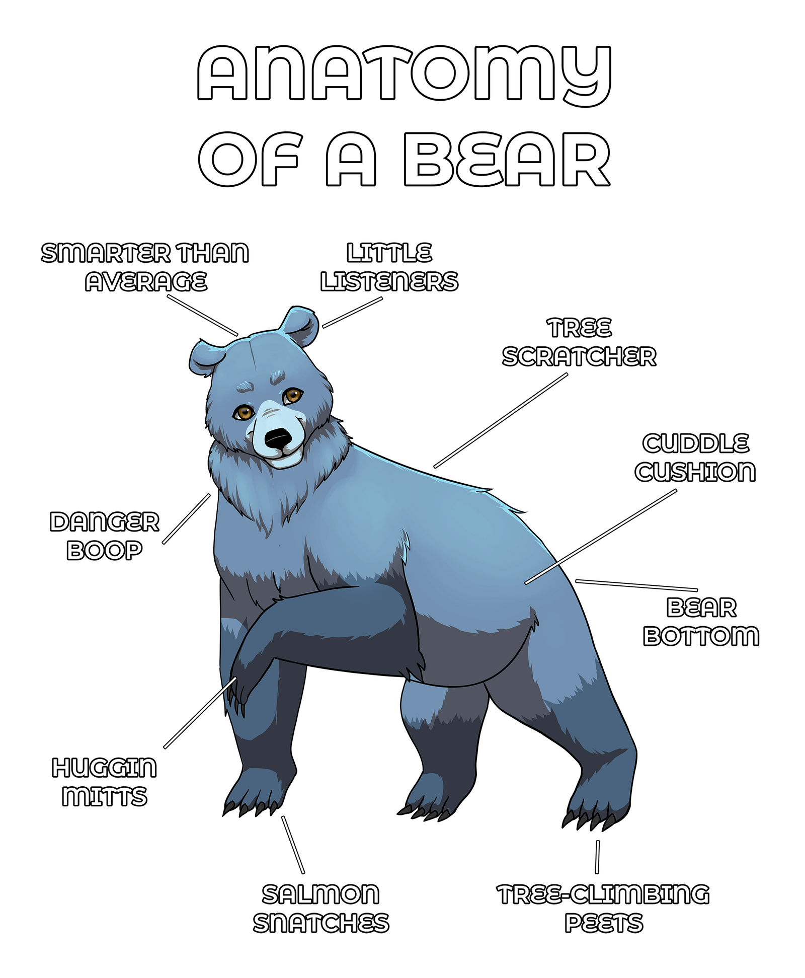 Anatomy Series - Gen 2 - Anatomy of a Bear - Silver