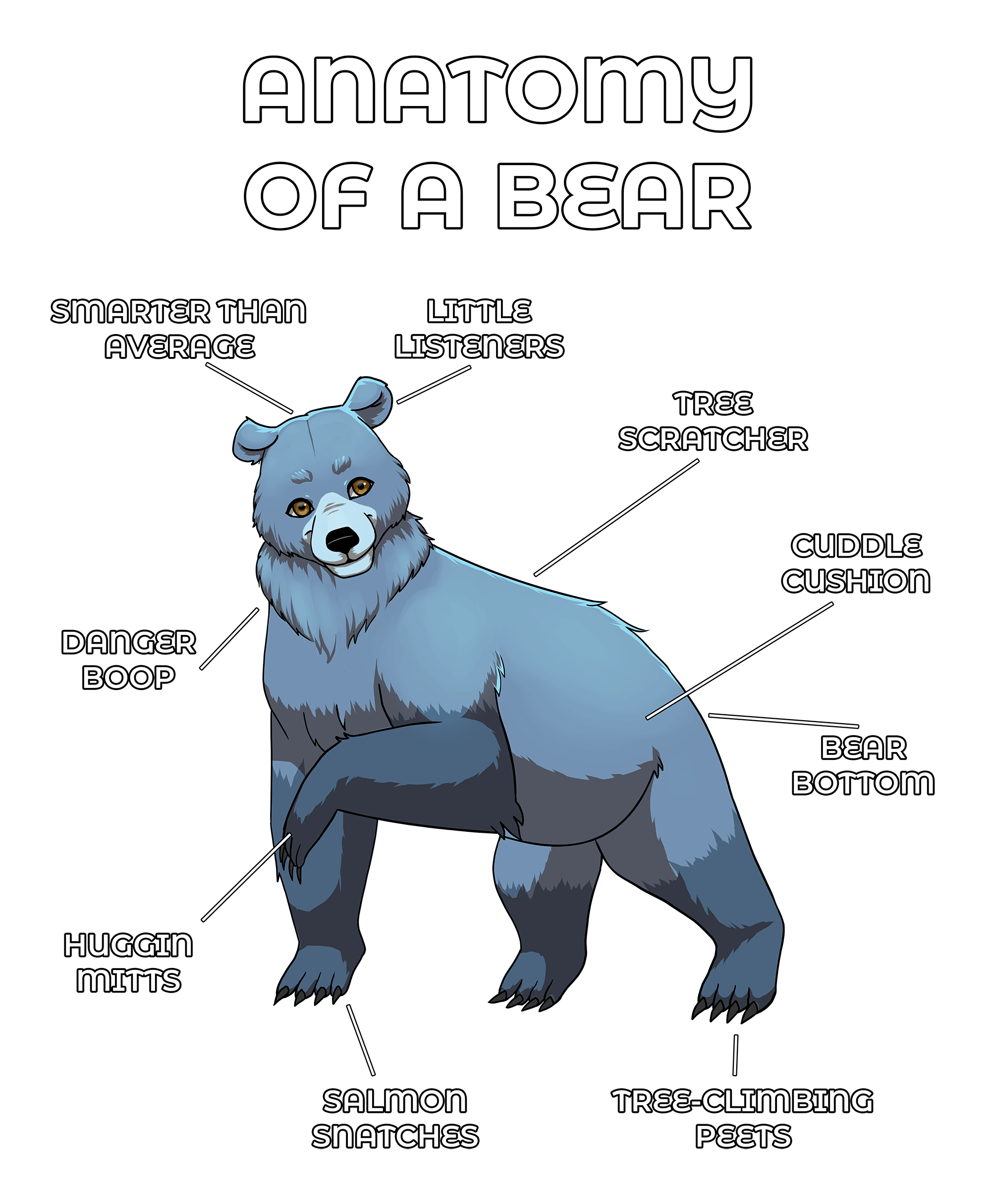 Anatomy Series - Gen 2 - Anatomy of a Bear - Silver