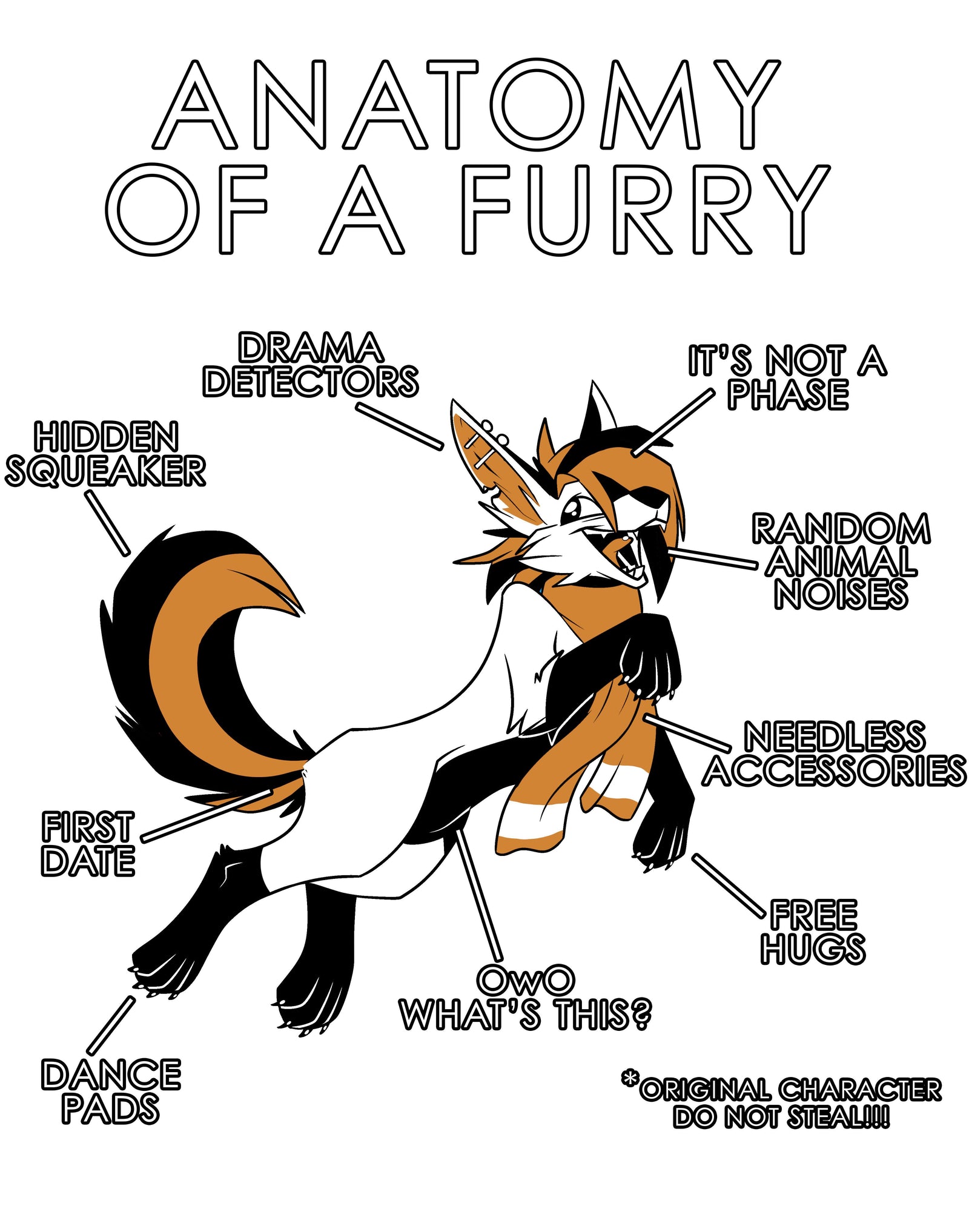 Anatomy Series - Gen 1 - Anatomy of a Furry