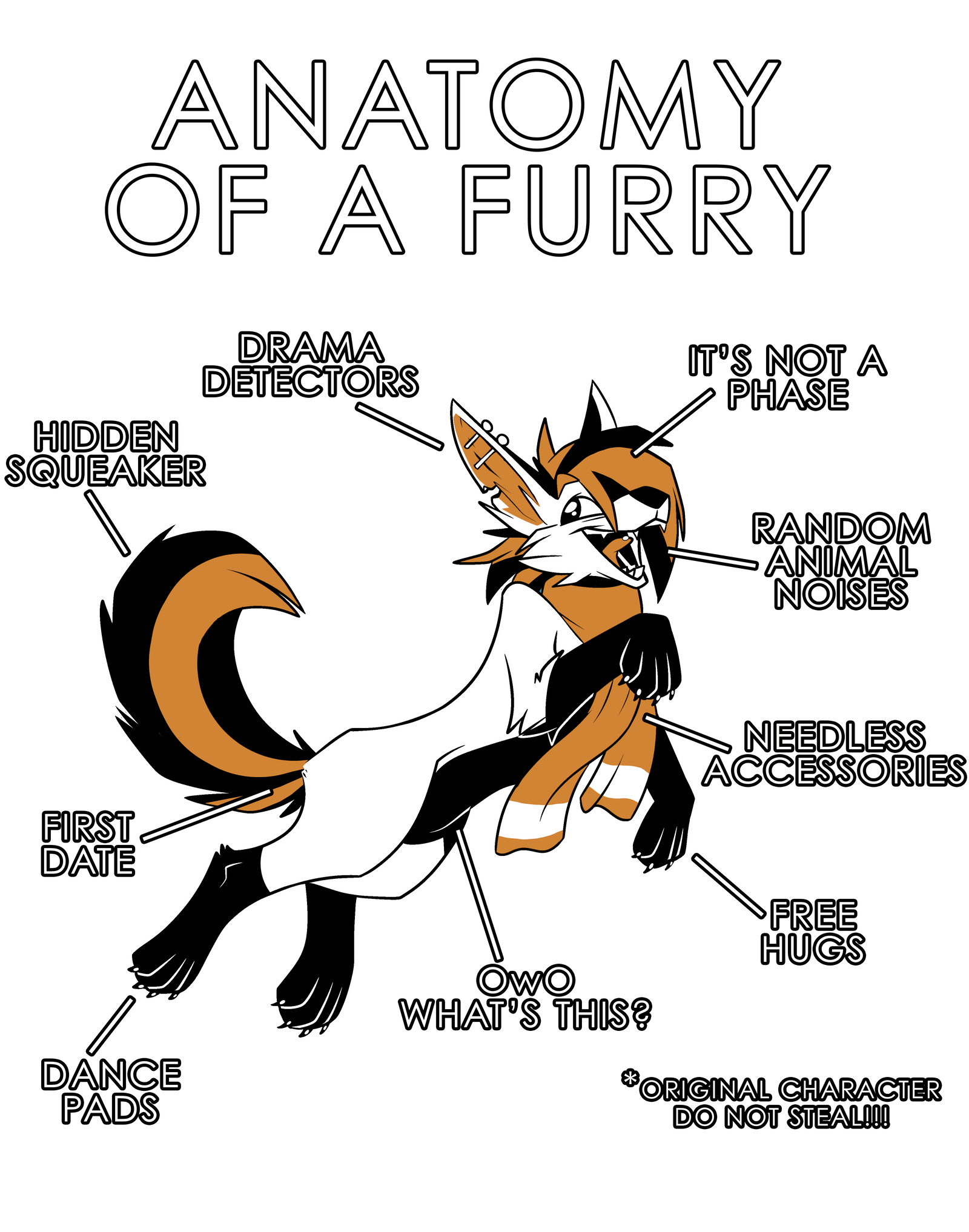 Anatomy Series - Gen 1 - Anatomy of a Furry - Orange