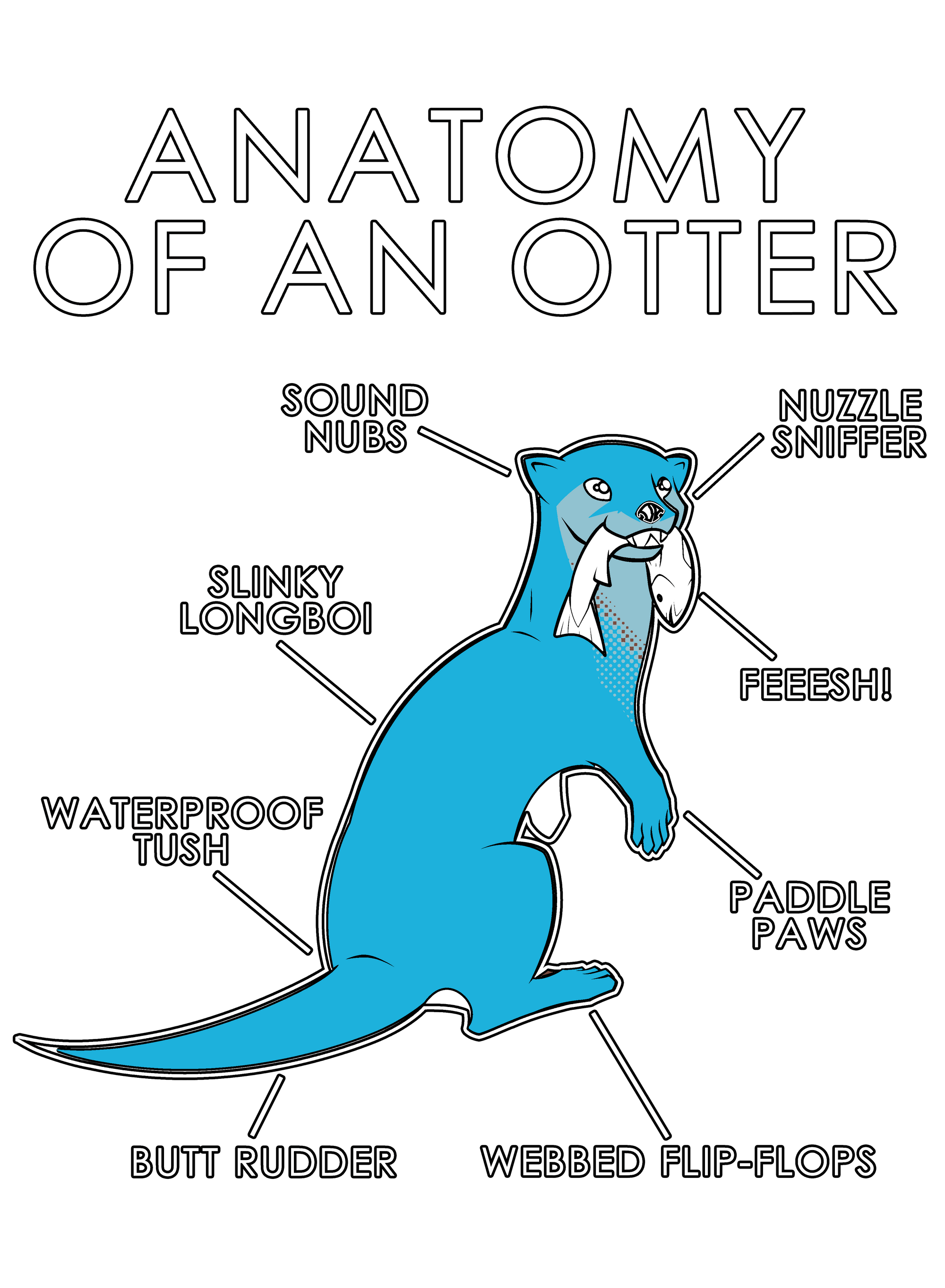 Anatomy Series - Gen 1 - Anatomy of an Otter - Light Blue