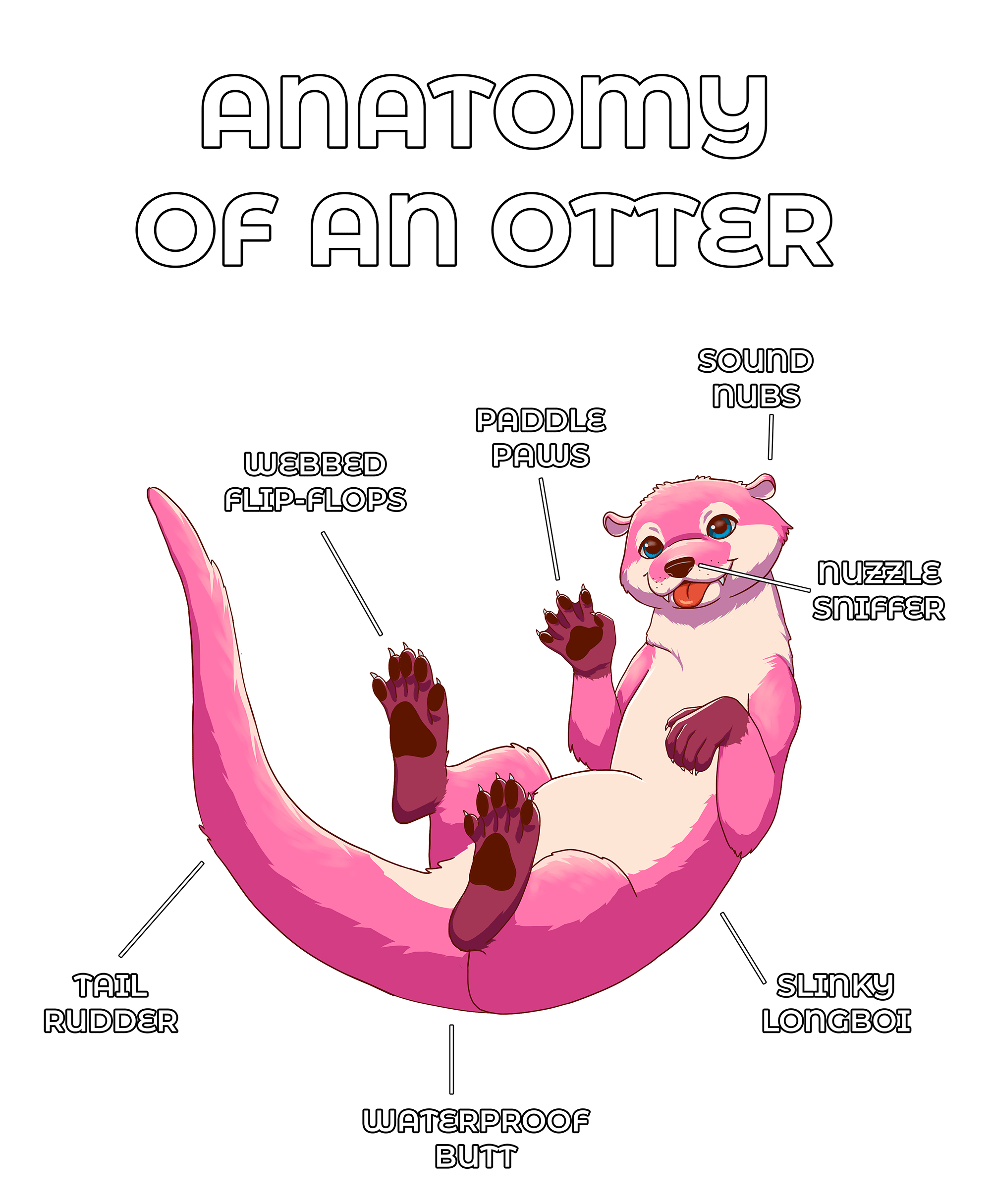 Anatomy Series - Gen 2 - Anatomy of an Otter - Pink