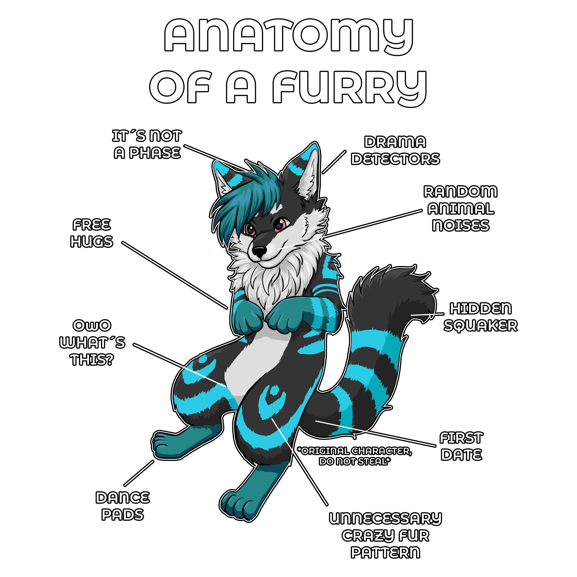 Anatomy Series - Gen 2 - Anatomy of a Furry - Black and Blue