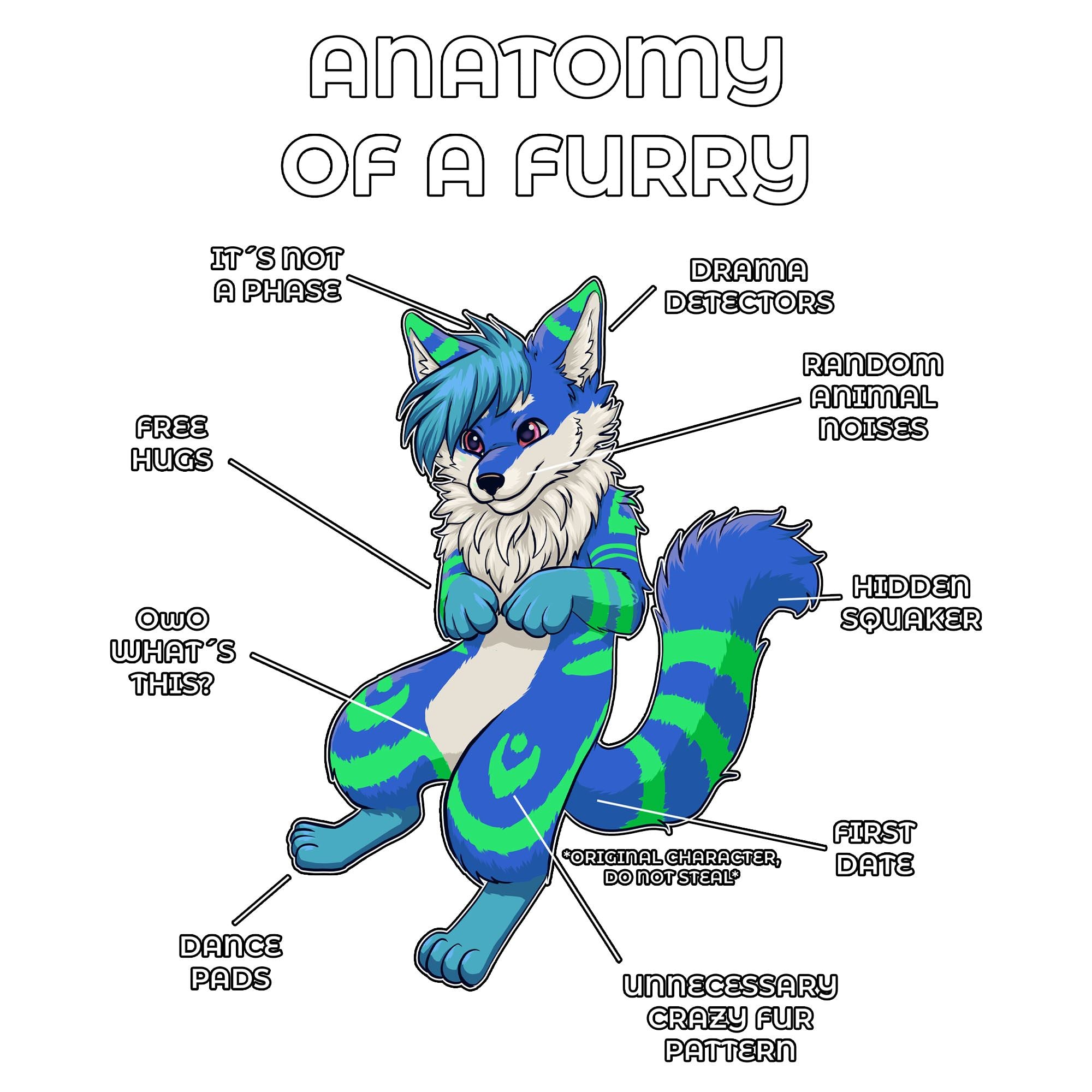 Anatomy Series - Gen 2 - Anatomy of a Furry - Blue and Green
