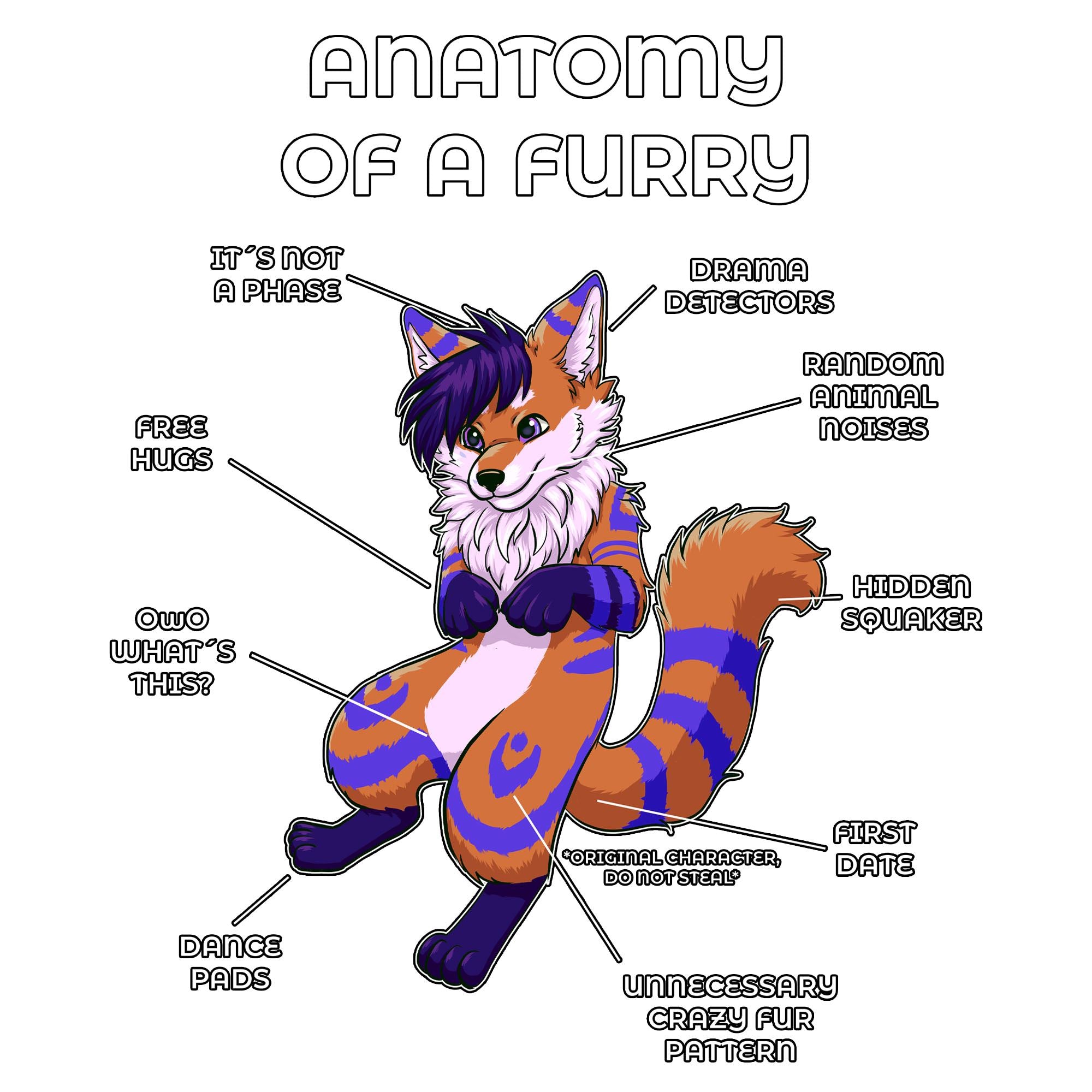 Anatomy Series - Gen 2 - Anatomy of a Furry - Orange and Blue
