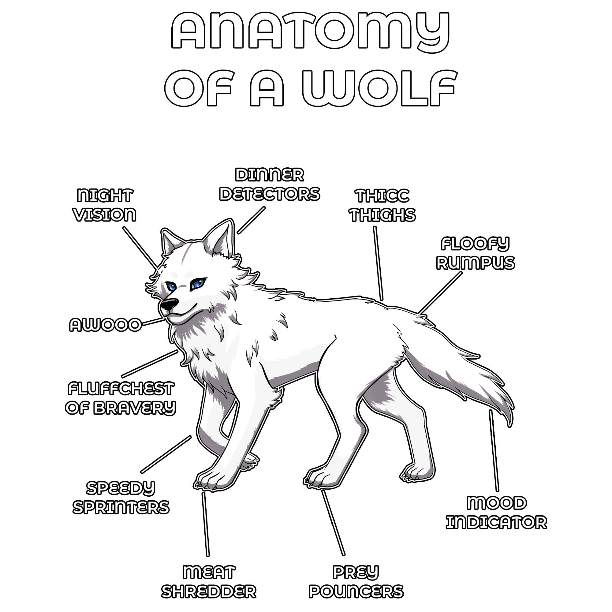 Anatomy Series - Gen 2 - Anatomy of a Wolf - White