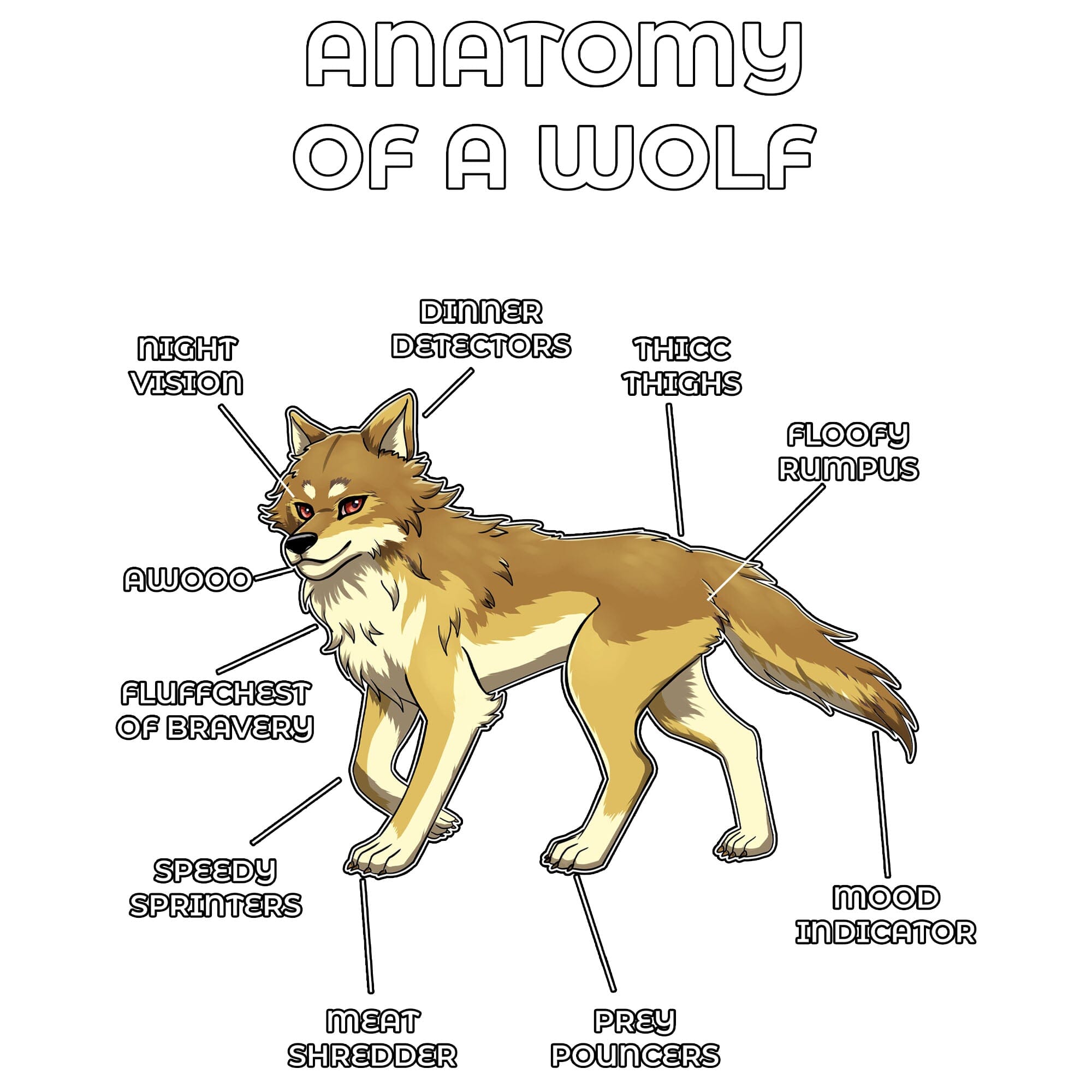 Anatomy Series - Gen 2 - Anatomy of a Wolf - Yellow