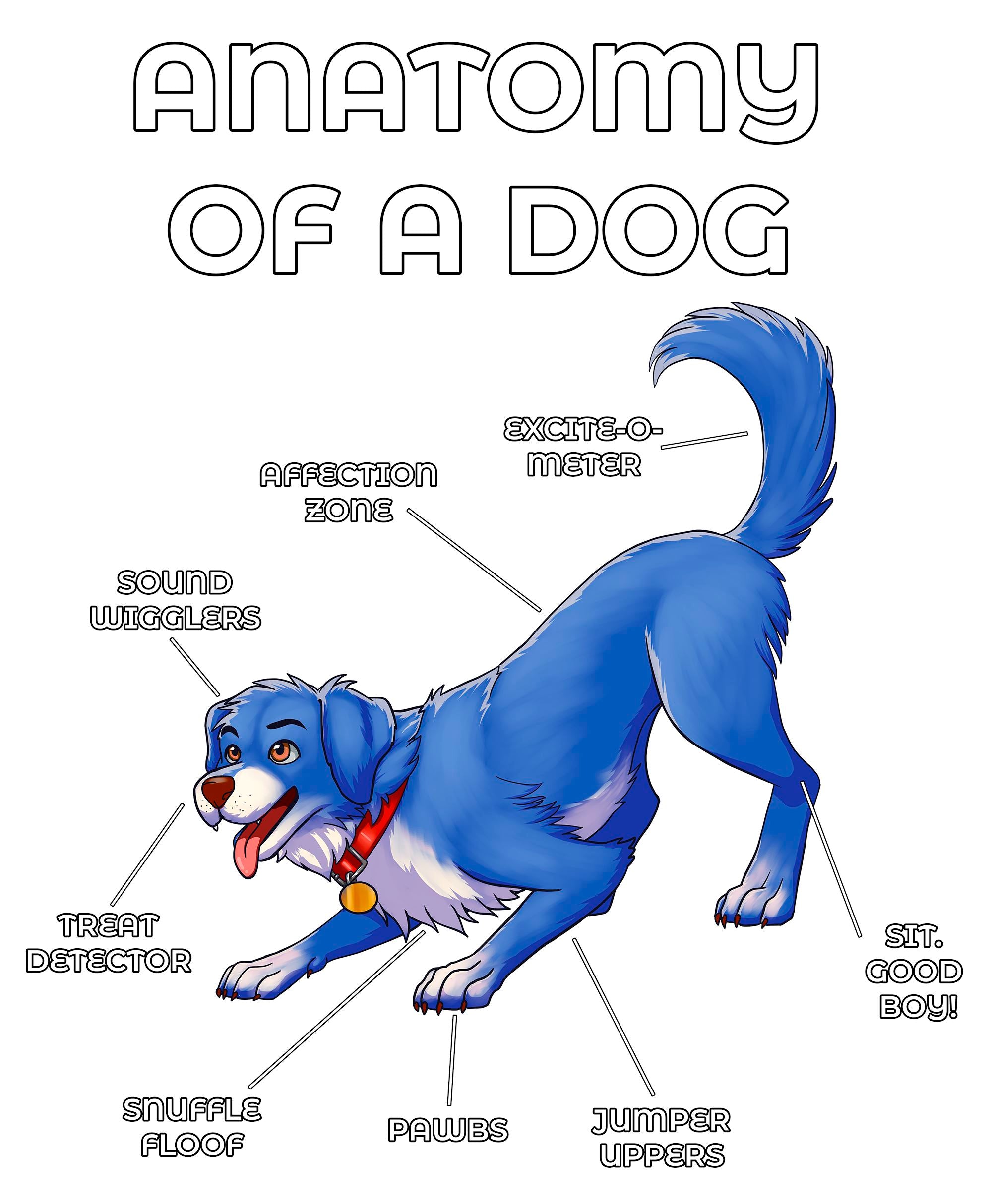 Anatomy Series - Gen 2 - Anatomy of a Dog - Blue