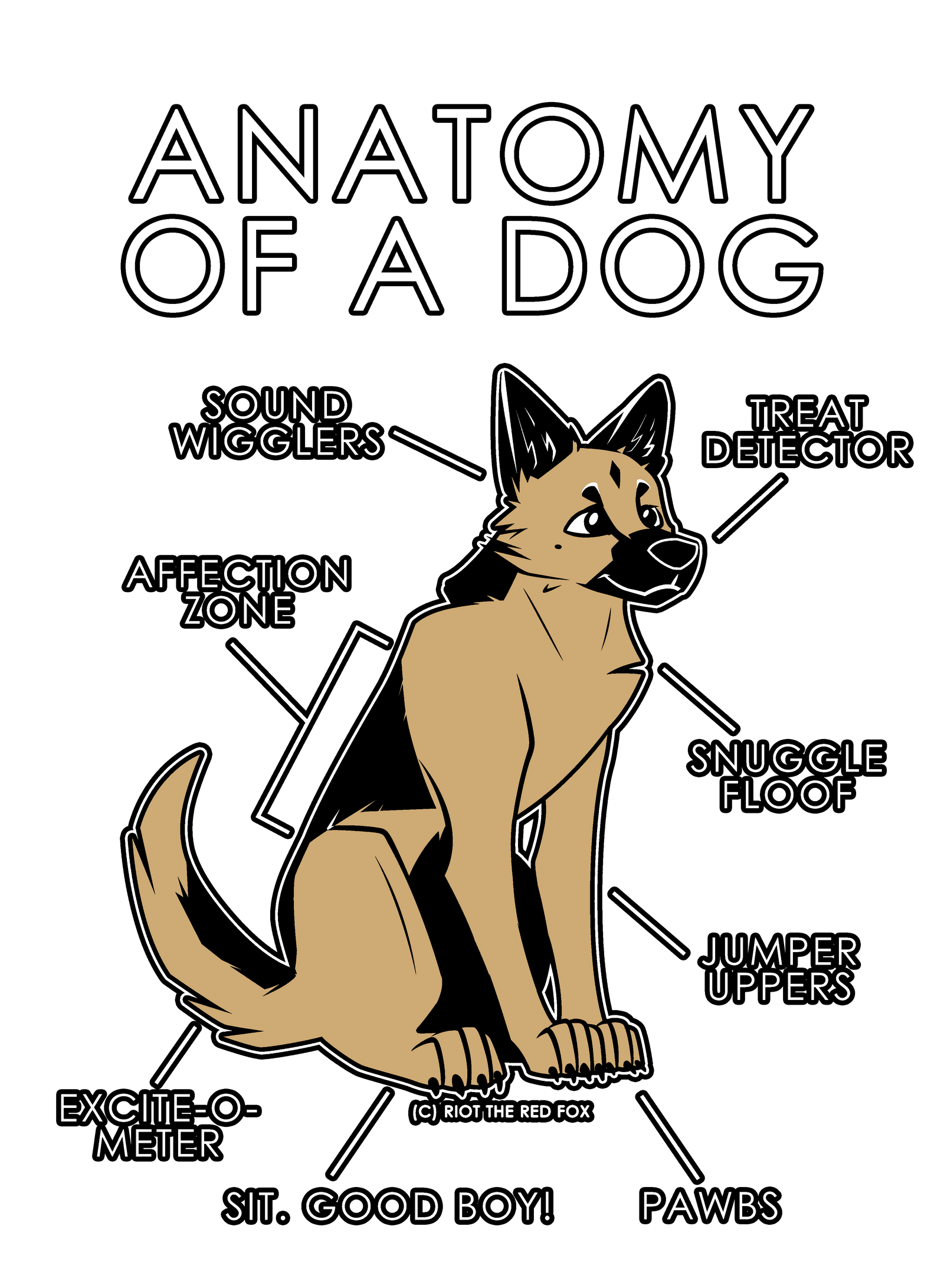 Anatomy Series - Gen 1 - Anatomy of a Dog - Natural