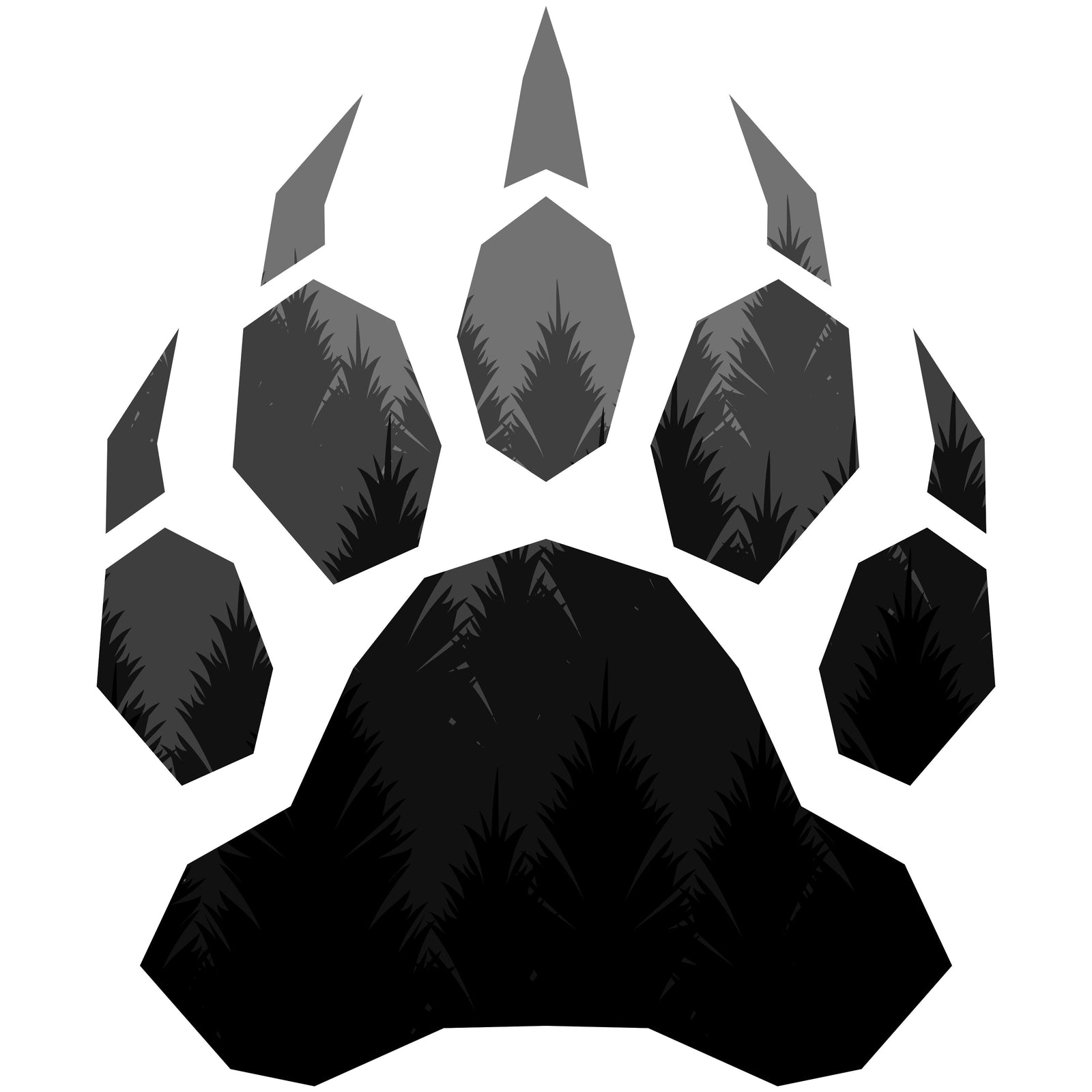 Wexon - Forest Paw - Bear