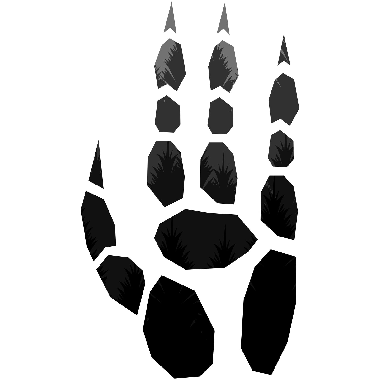 Wexon - Forest Paw - Sergal
