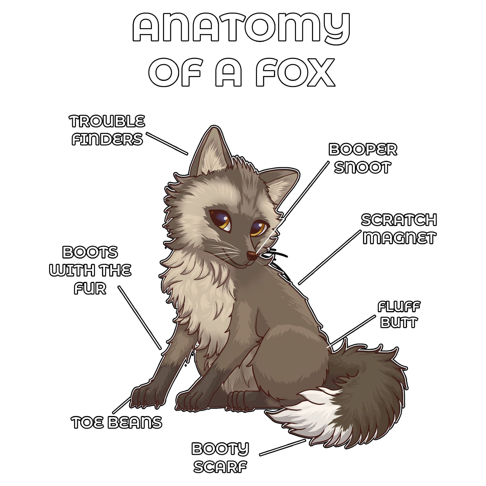 Anatomy Series - Gen 2 - Anatomy of a Fox - Brown