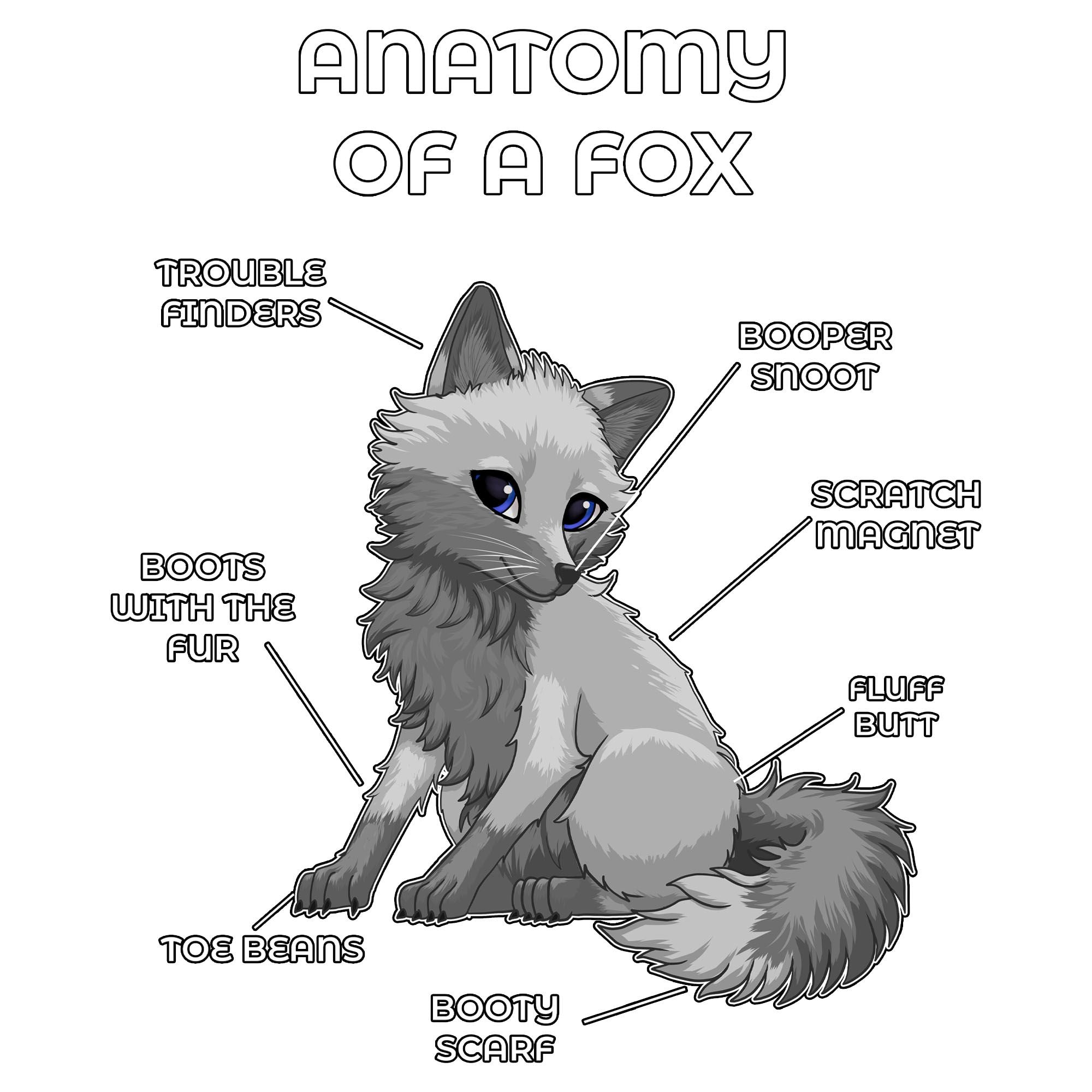 Anatomy Series - Gen 2 - Anatomy of a Fox - Grey