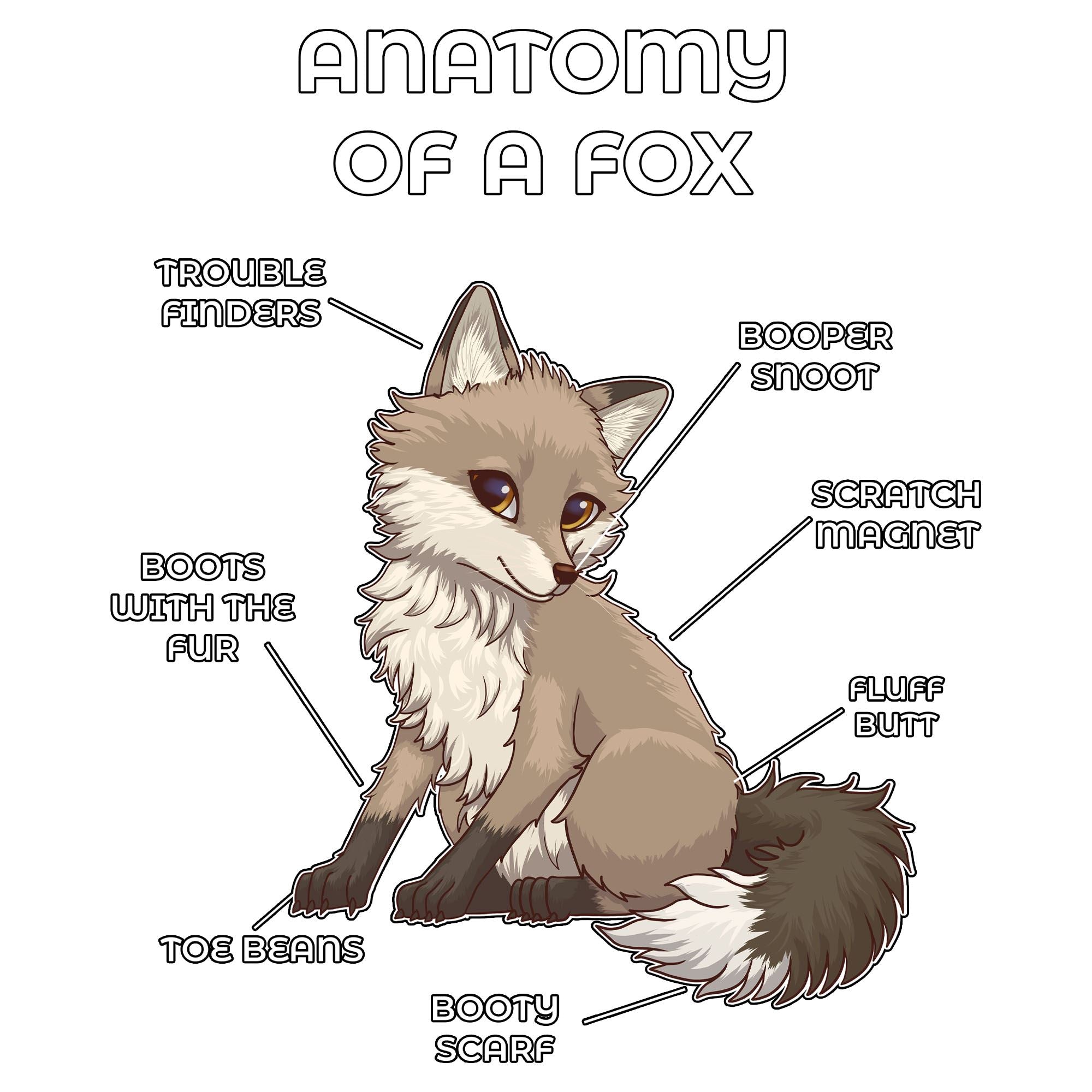 Anatomy Series - Gen 2 - Anatomy of a Fox - Sand