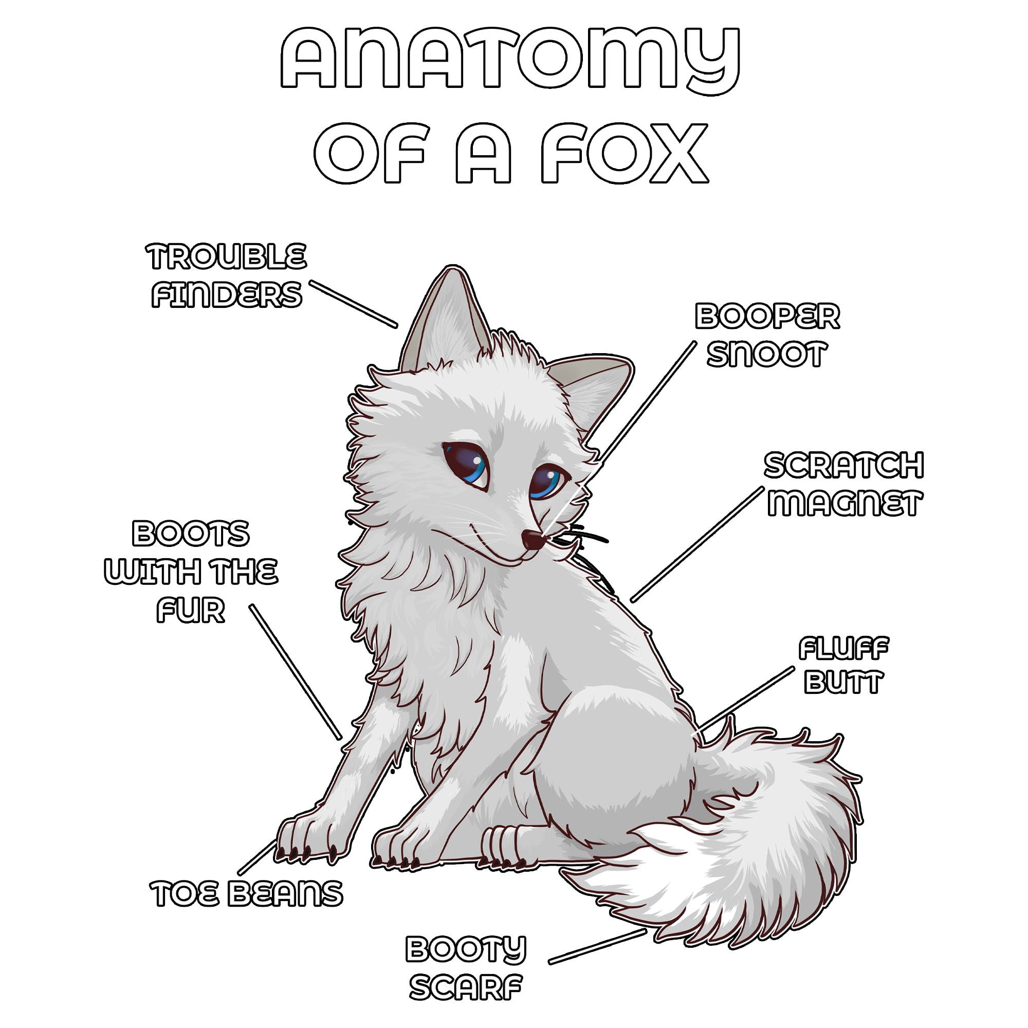 Anatomy Series - Gen 2 - Anatomy of a Fox - White