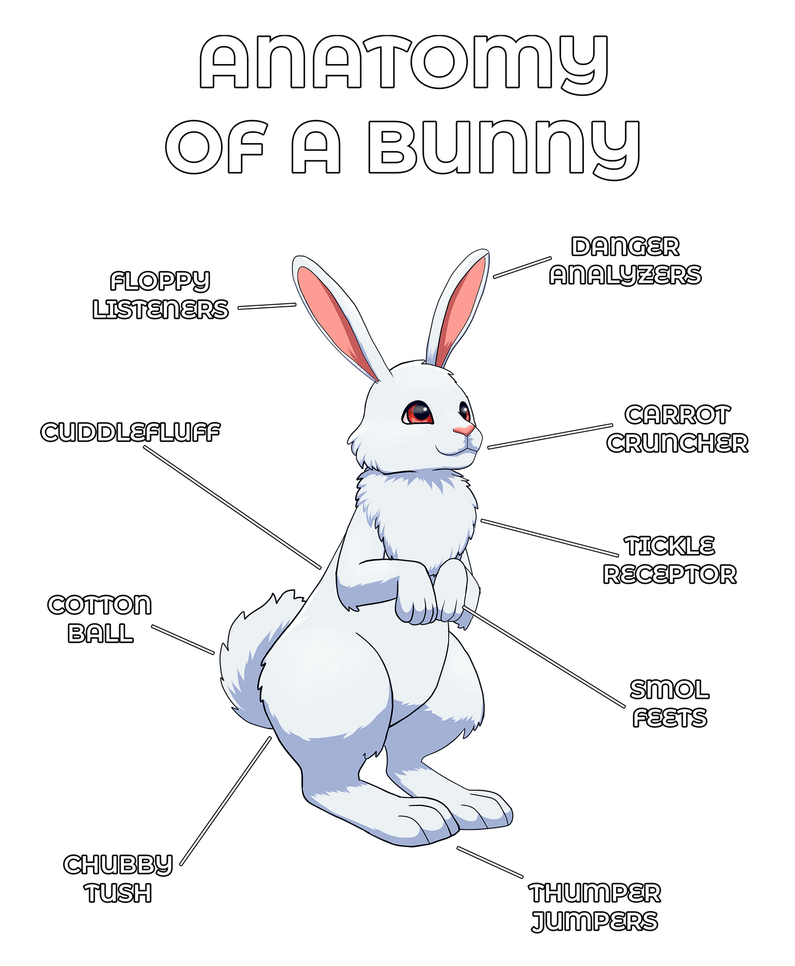 Anatomy Series - Gen 2 - Anatomy of a Bunny - White