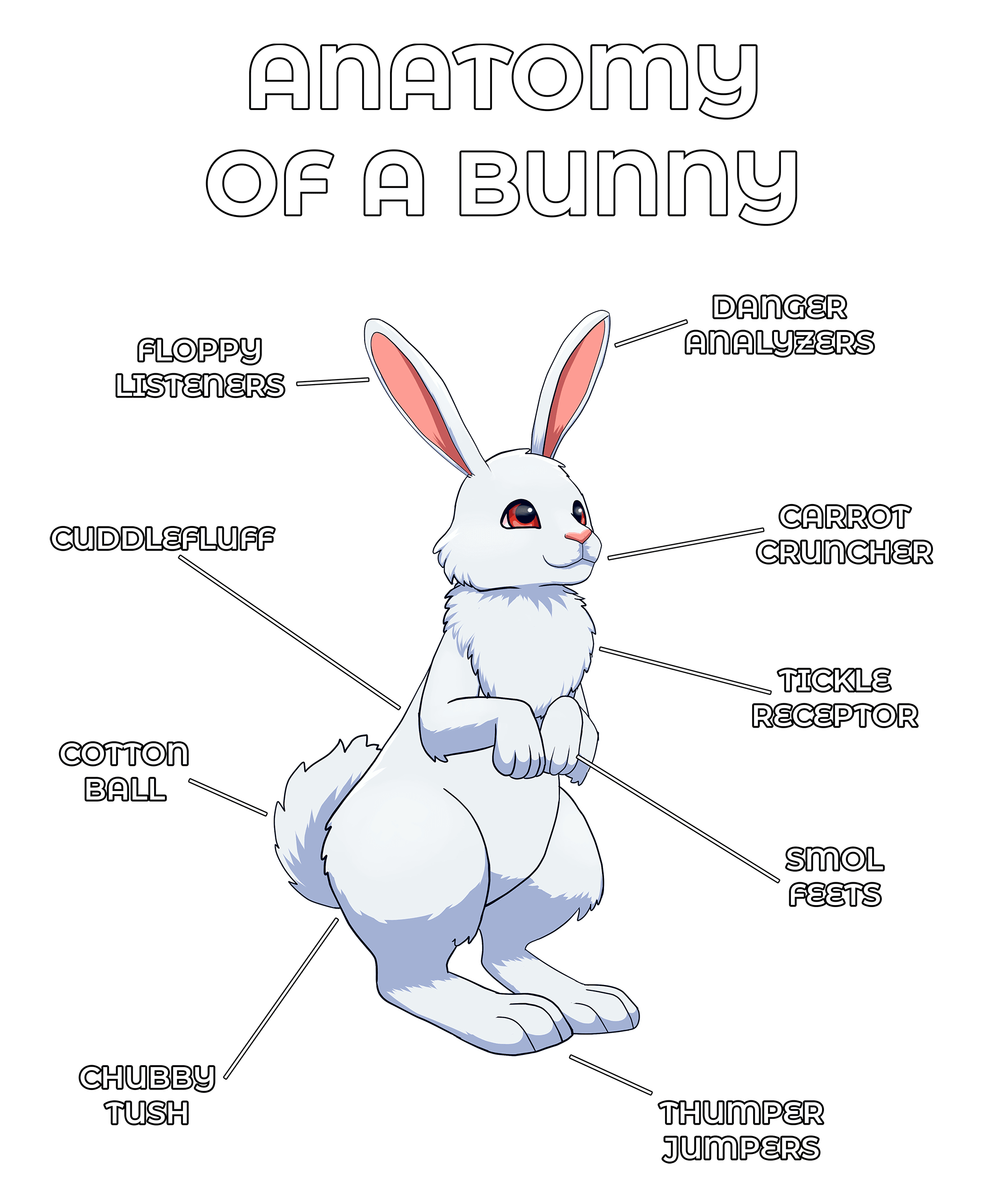 Anatomy Series - Gen 2 - Anatomy of a Bunny - White