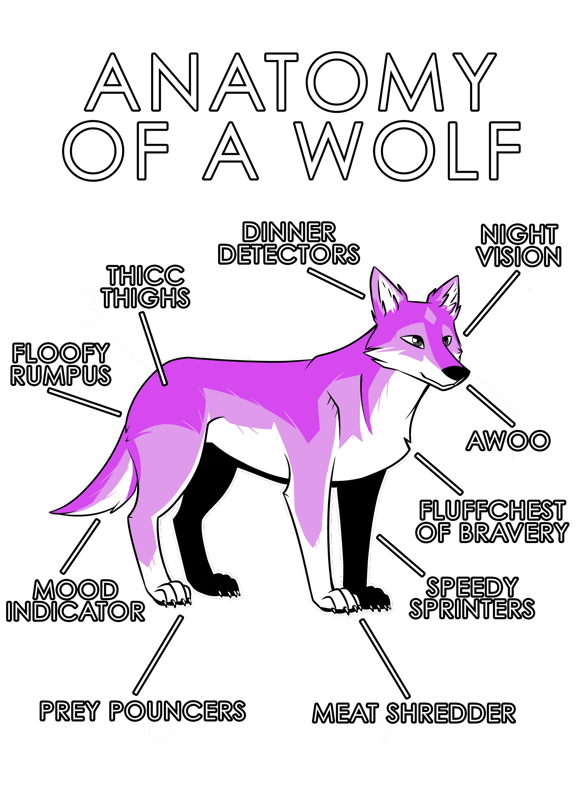 Anatomy Series - Gen 1 - Anatomy of a Wolf - Pink