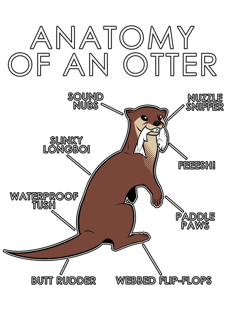 Anatomy of an Otter