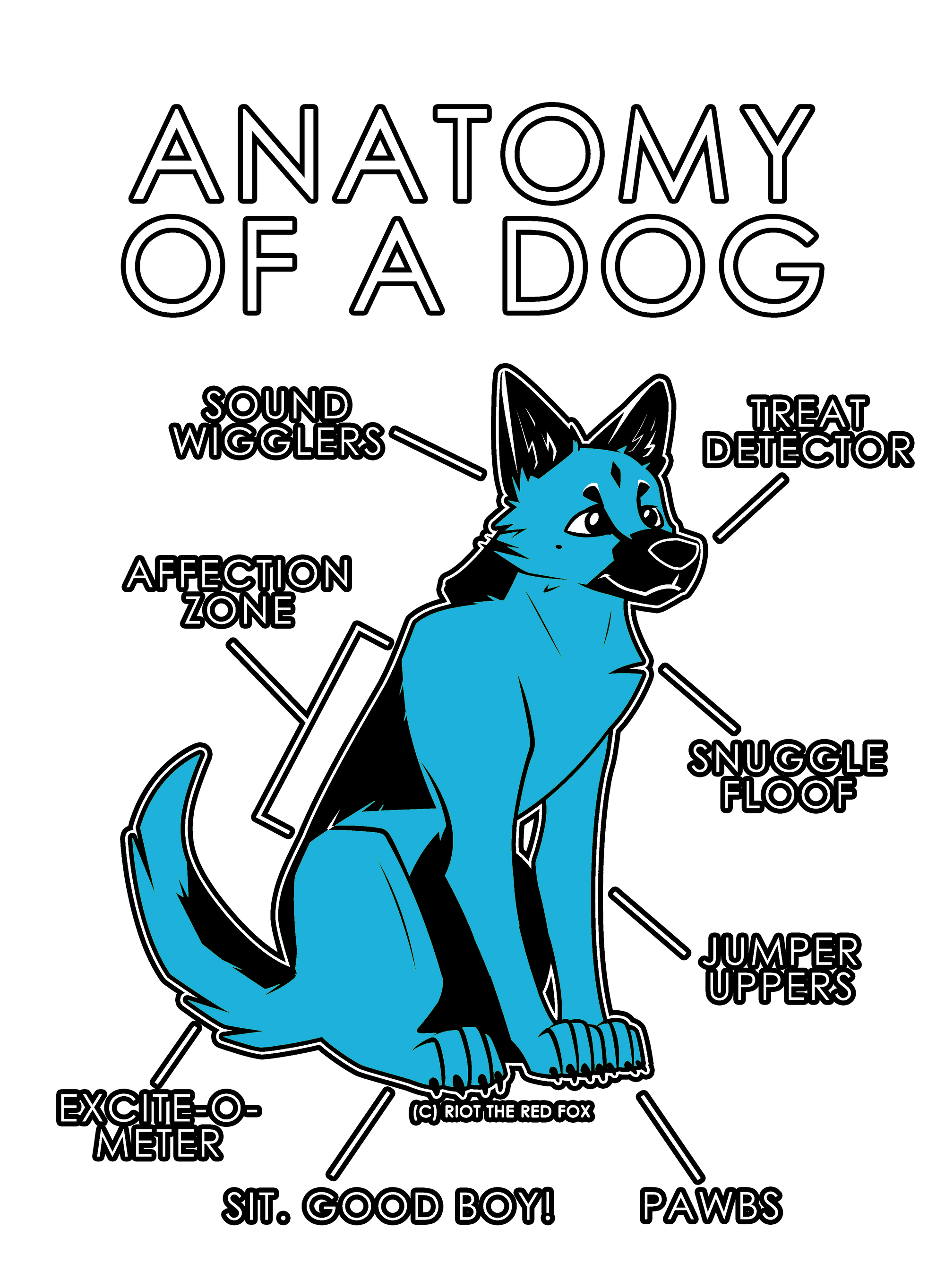 Anatomy Series - Gen 1 - Anatomy of a Dog - Light Blue