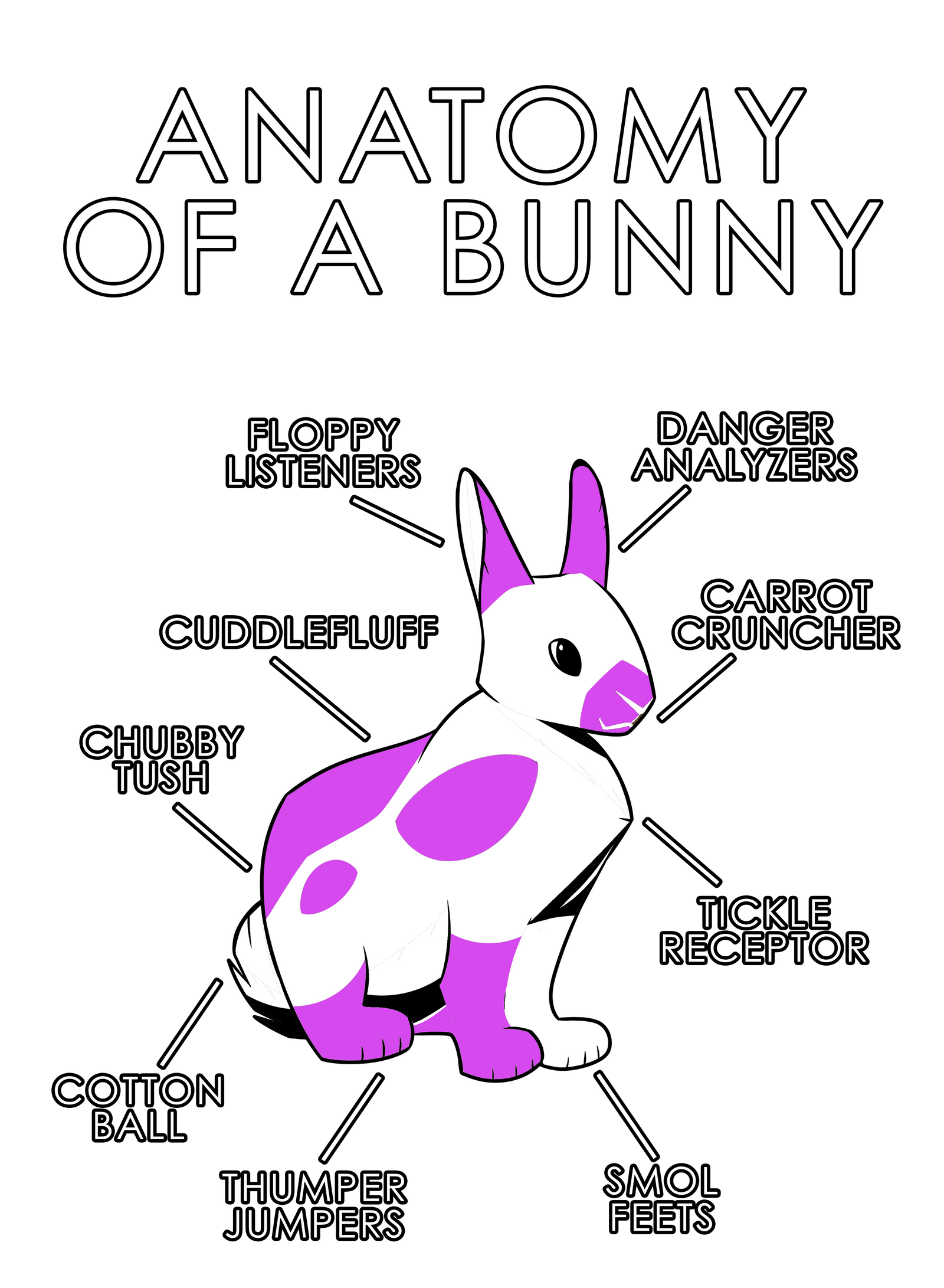 Anatomy Series - Gen 1 - Anatomy of a Bunny - Pink