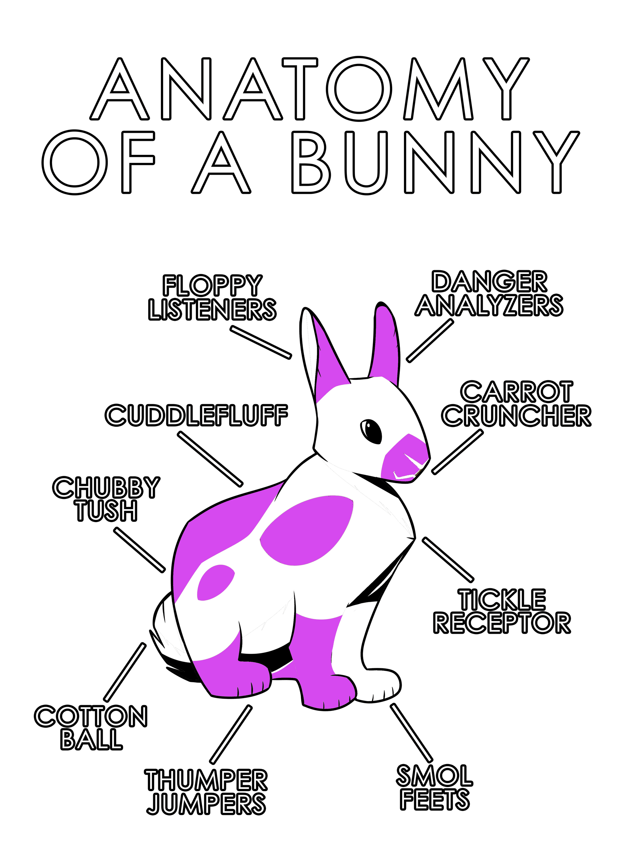 Anatomy Series - Gen 1 - Anatomy of a Bunny - Pink