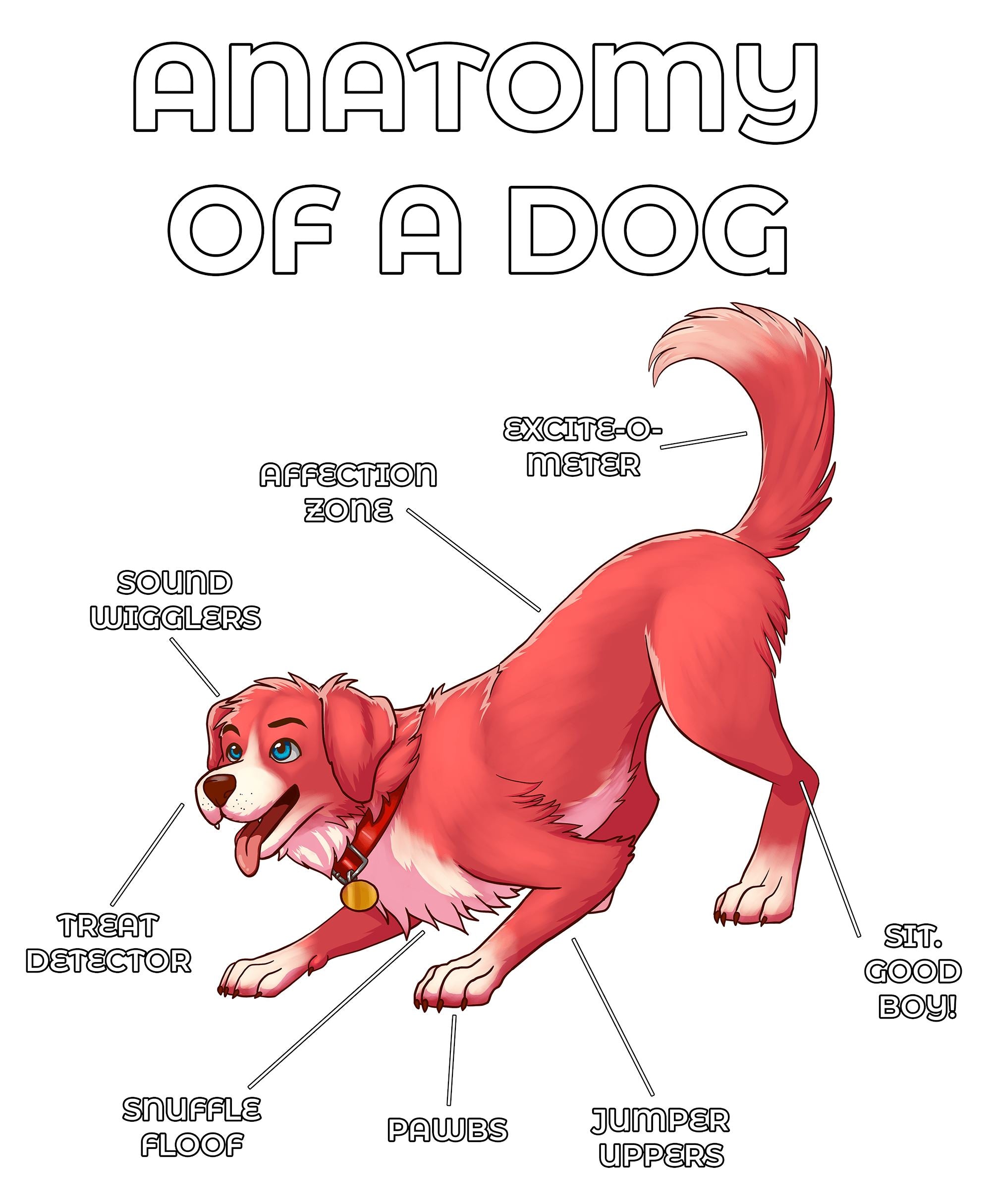 Anatomy Series - Gen 2 - Anatomy of a Dog - Red